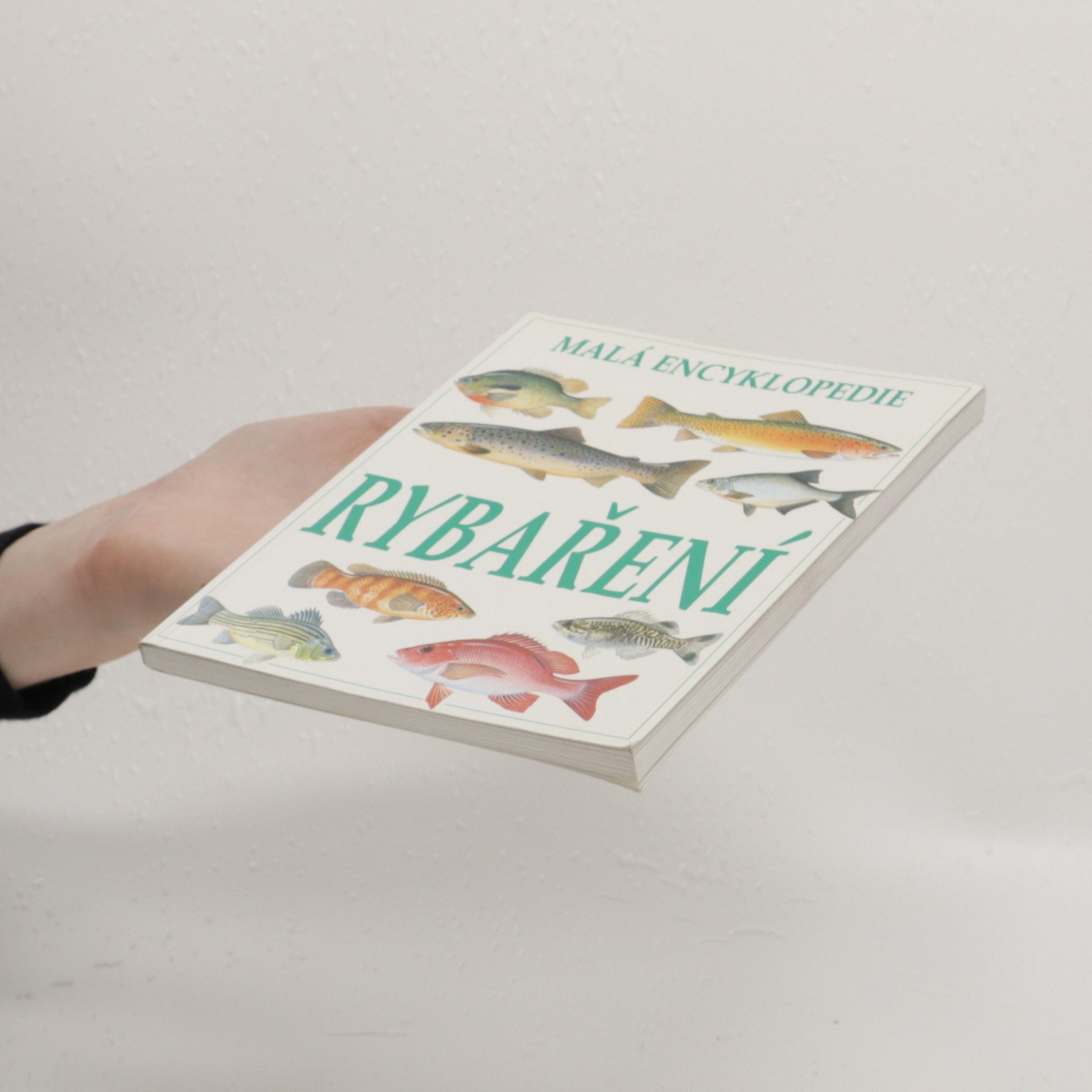 Autorenkollektiv Malá encyklopedie rybaření