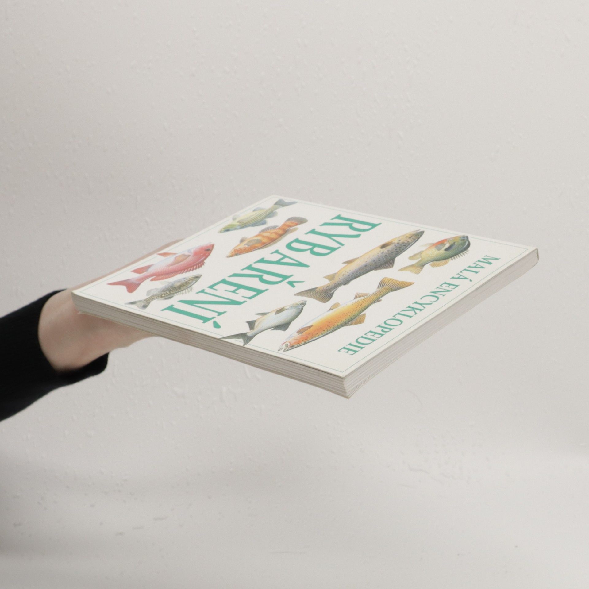Autorenkollektiv Malá encyklopedie rybaření