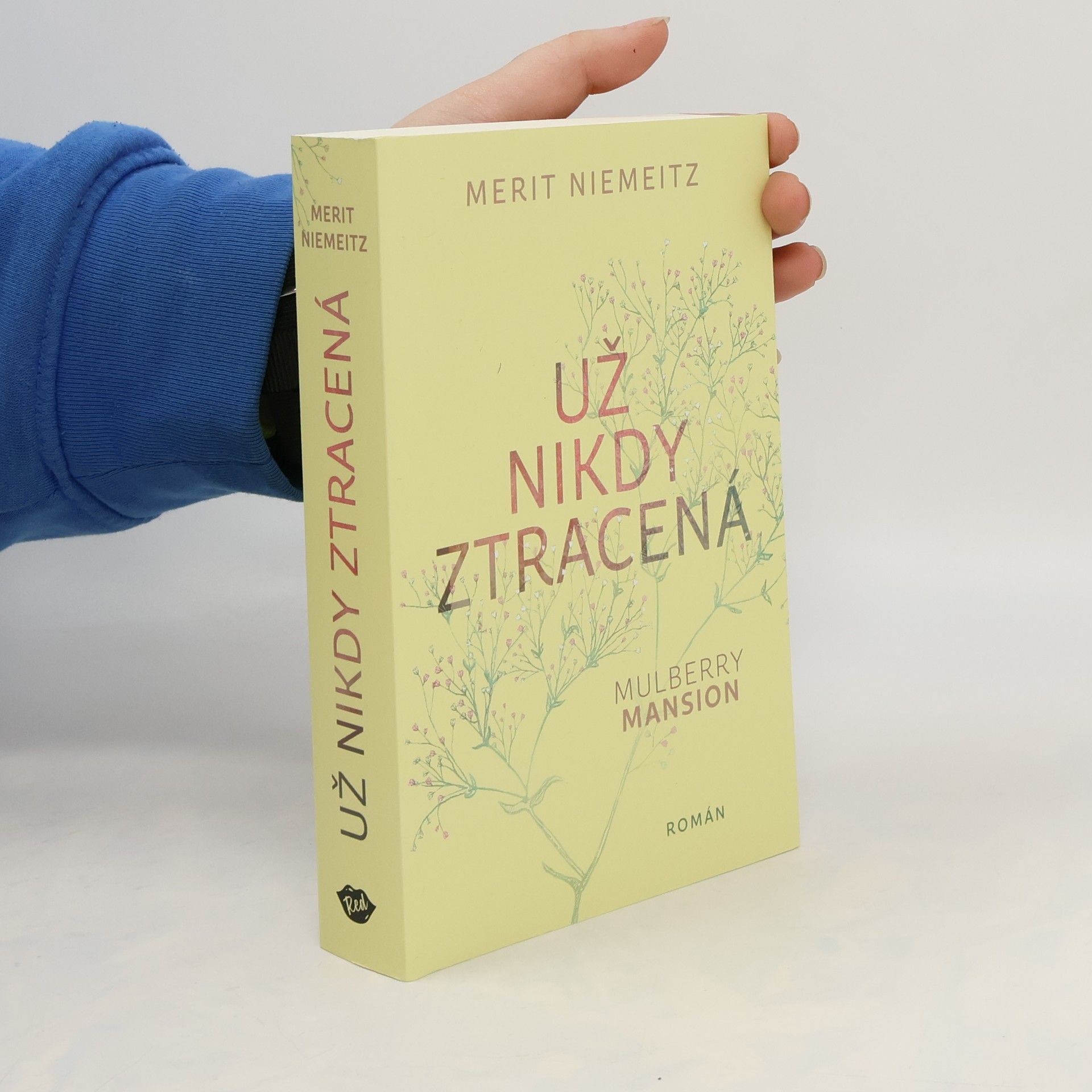 Merit Niemeitz Už nikdy ztracená