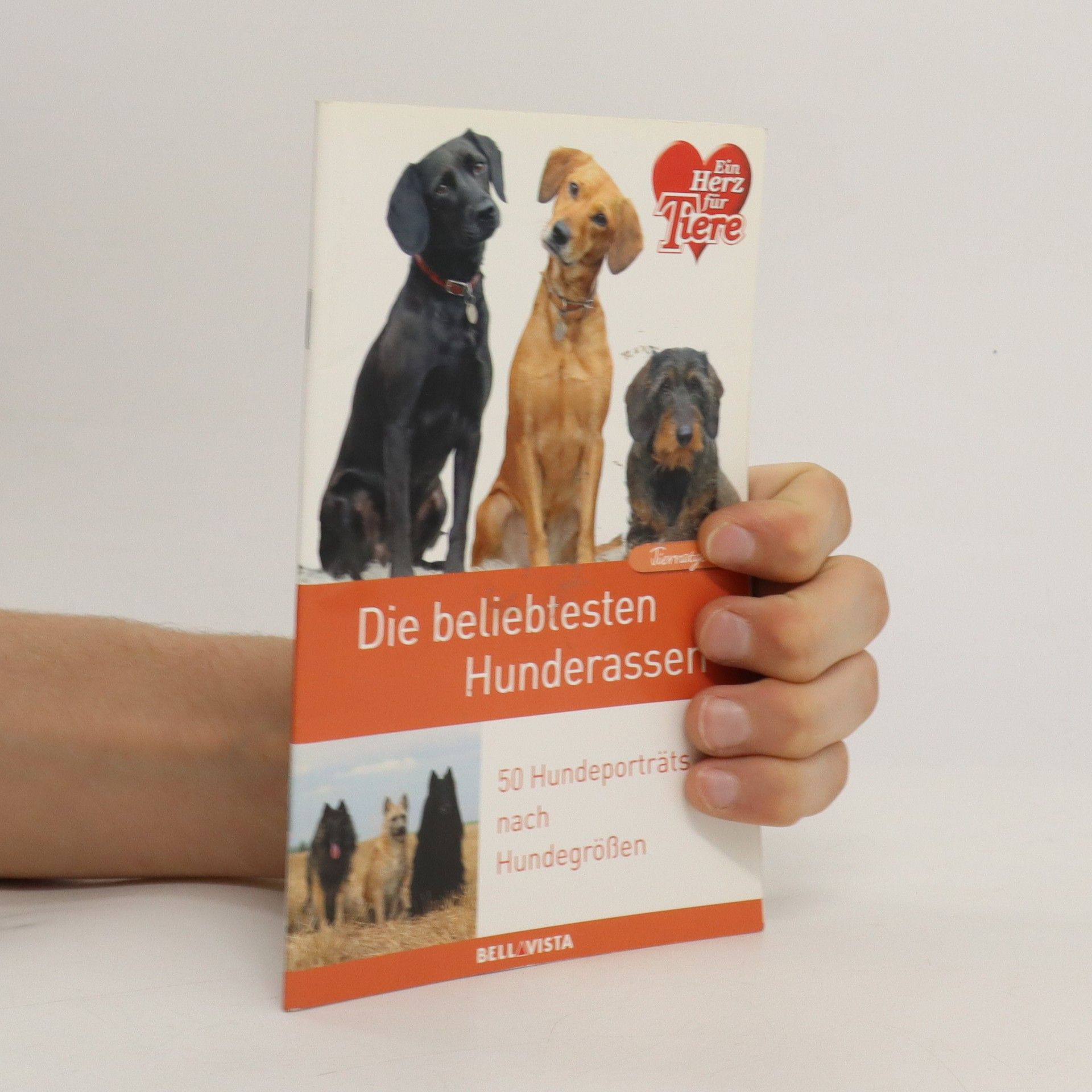 Collectif d'auteurs Die beliebtesten Hunderassen