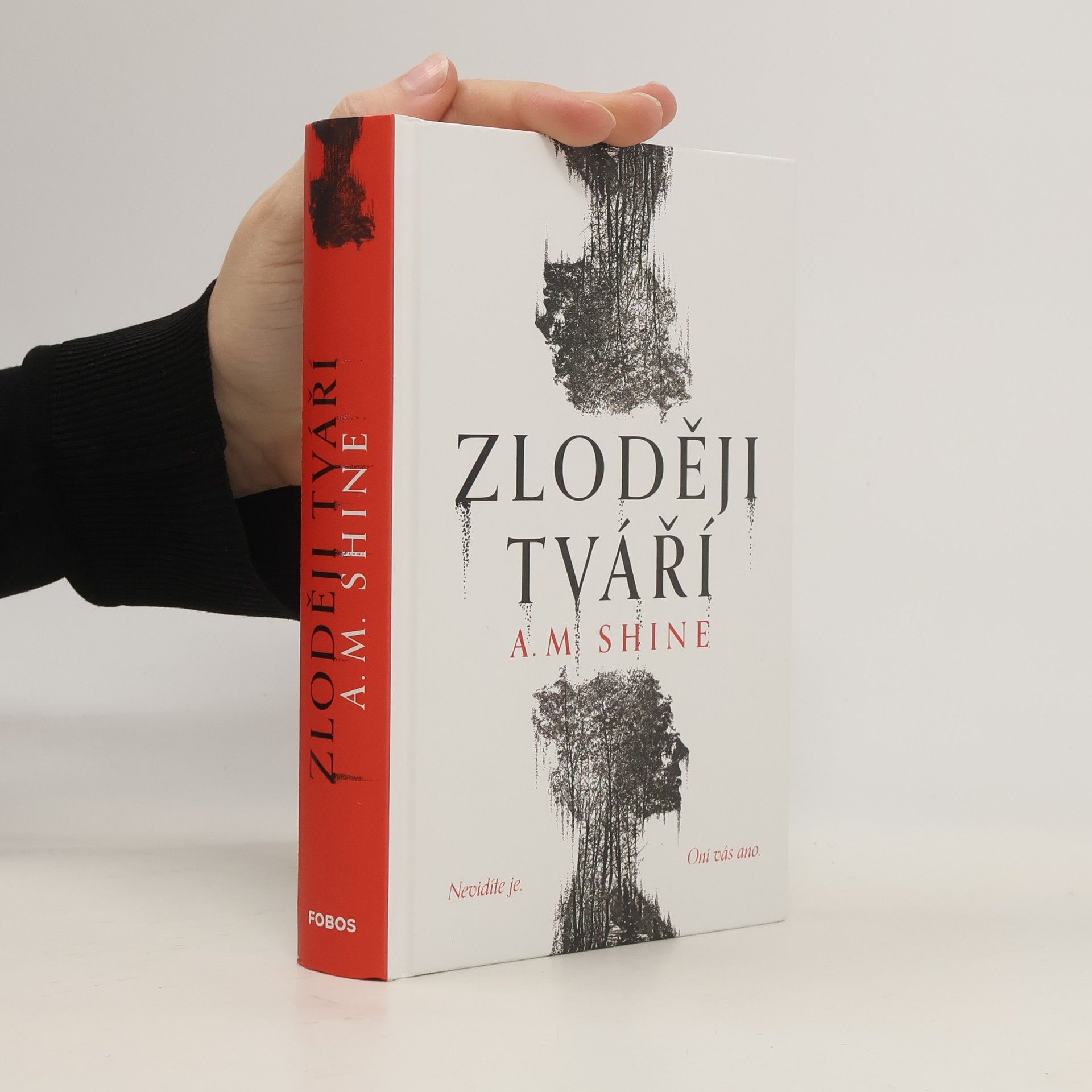 Kateřina Harrison Lipenská Zloději tváří