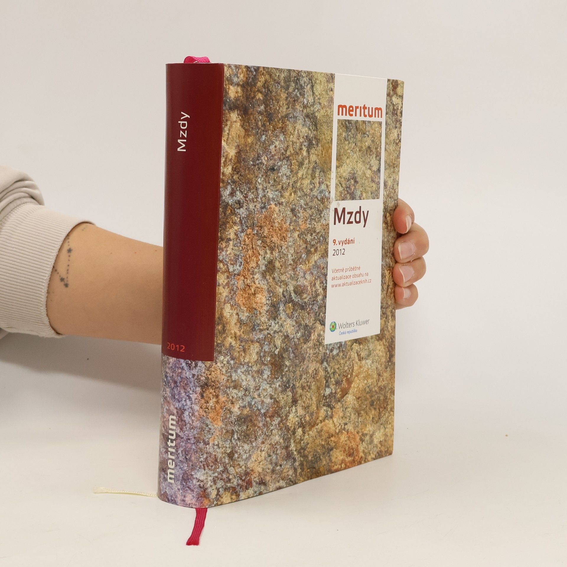 Hana Ambrosová Mzdy 2012