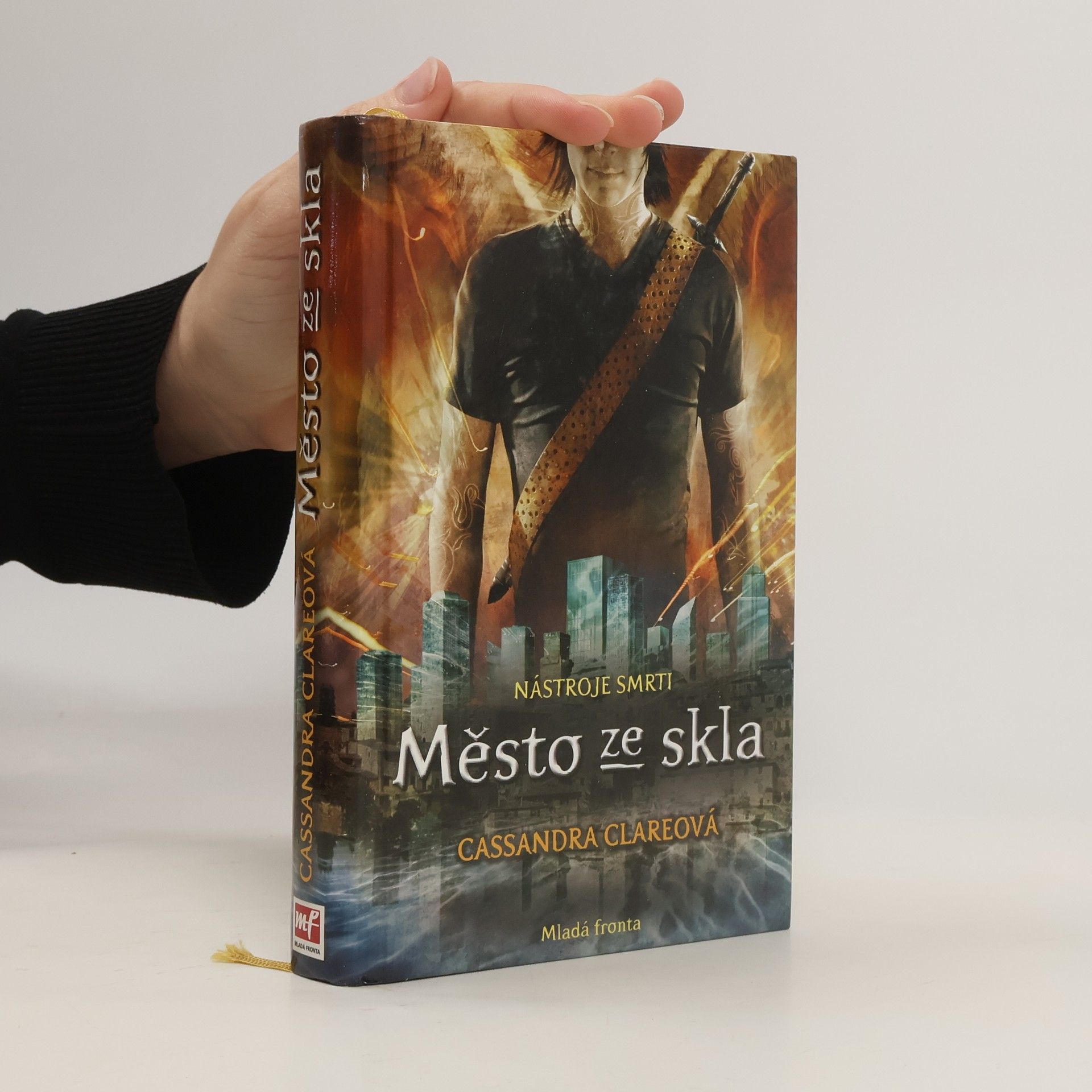 Cassandra Clare Nástroje smrti 3: Město ze skla