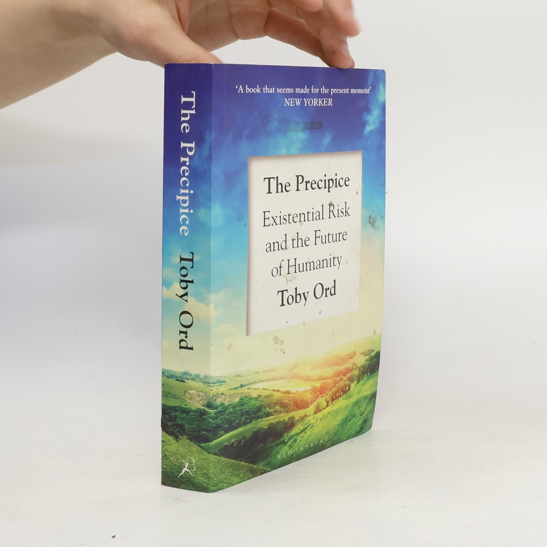 Toby Ord The precipice. Existential risk and the future of humanity