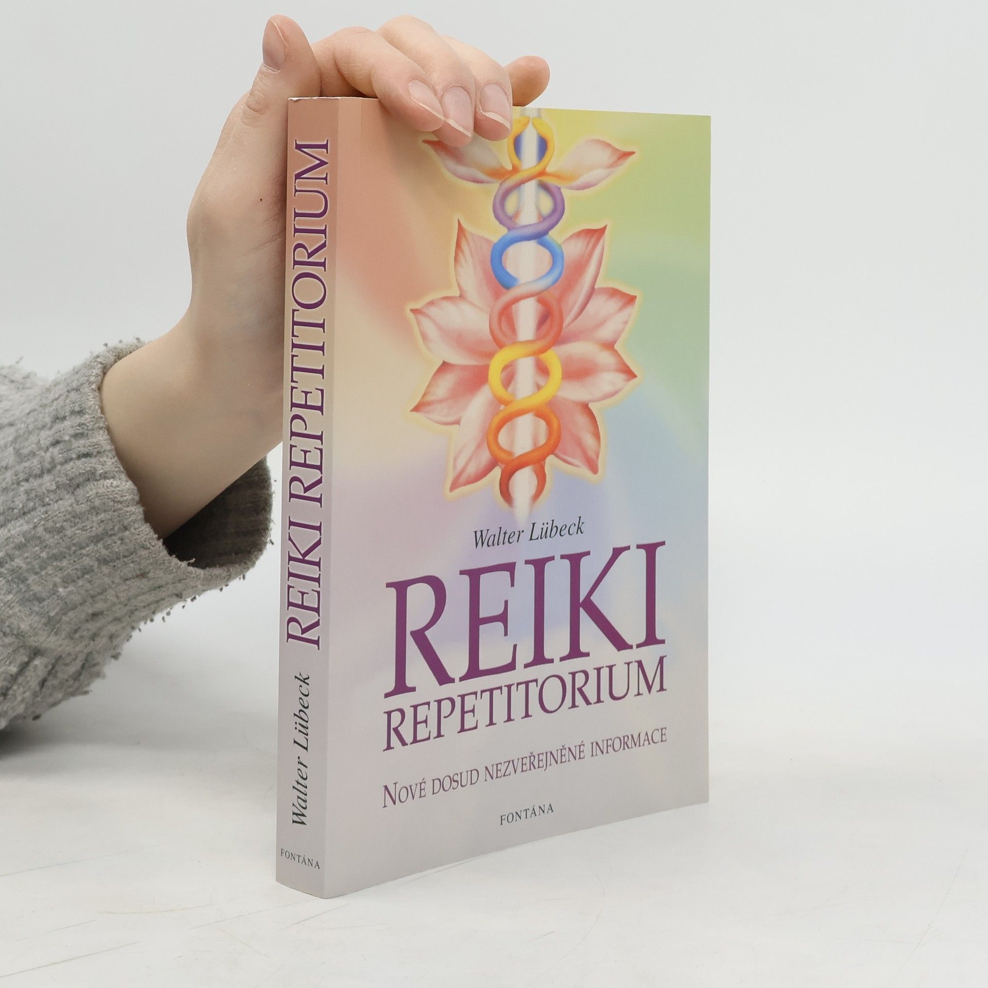 Walter Lübeck Repetitorium reiki