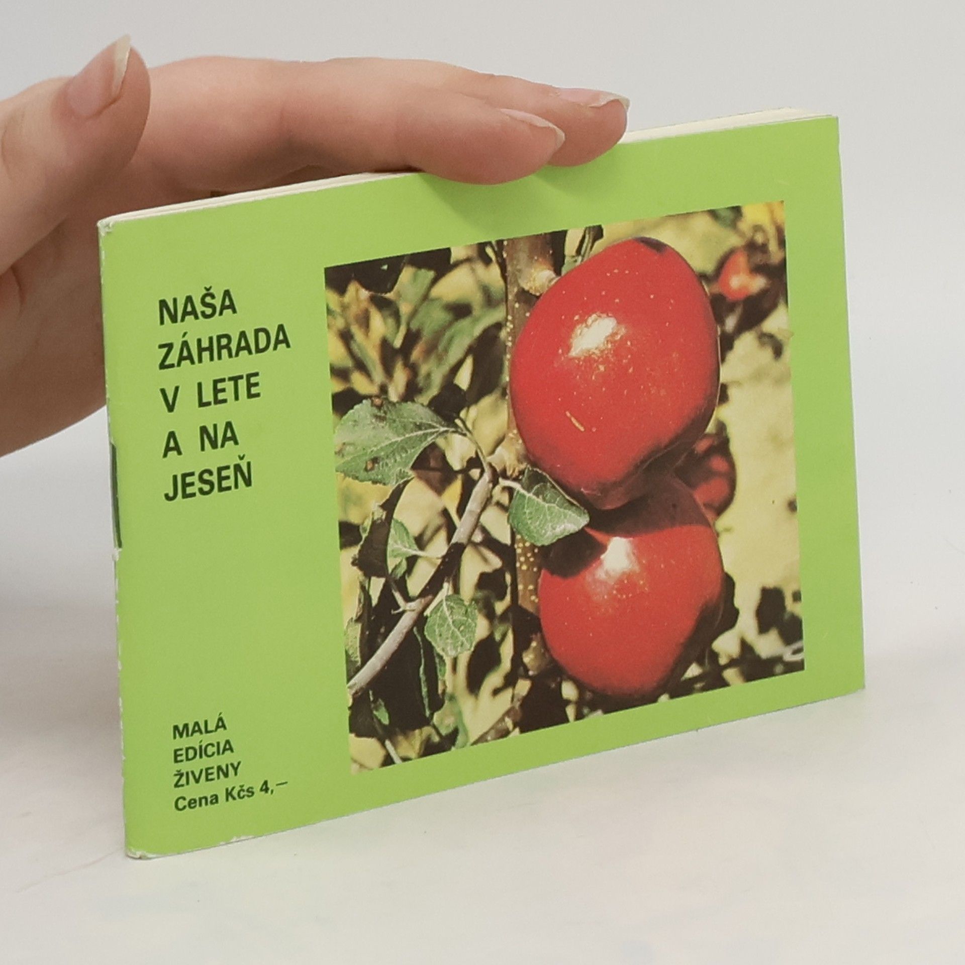 Ivan Šembera Naša záhrada v lete a na jeseň