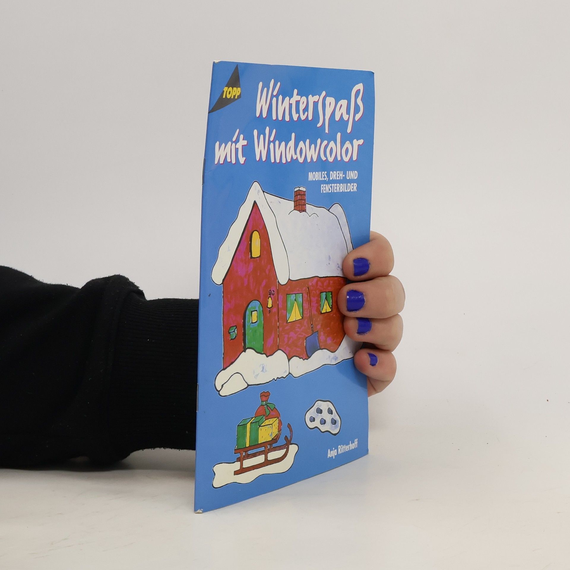 Anja Ritterhoff Winterspaß mit Windowcolor