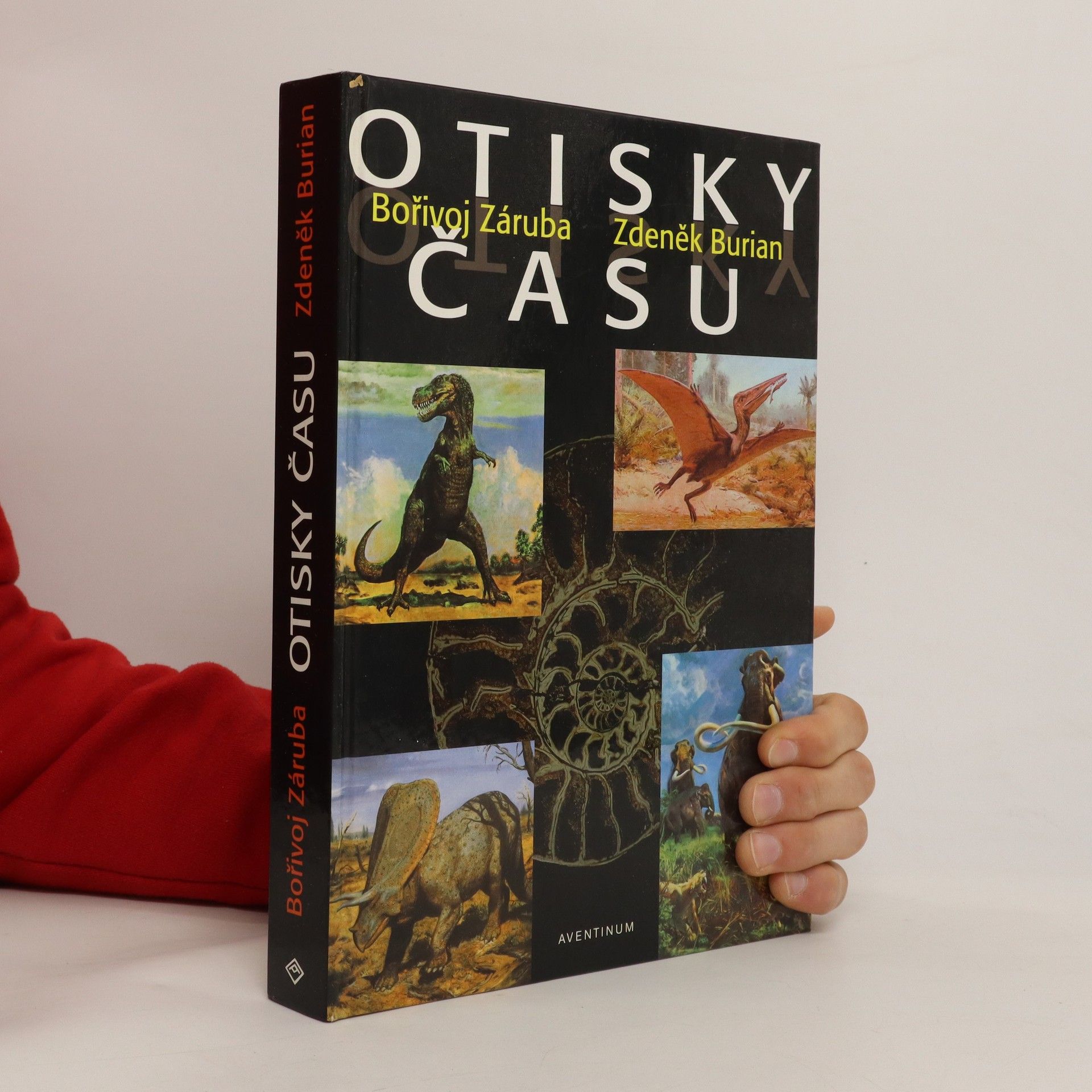 Bořivoj Záruba Otisky času