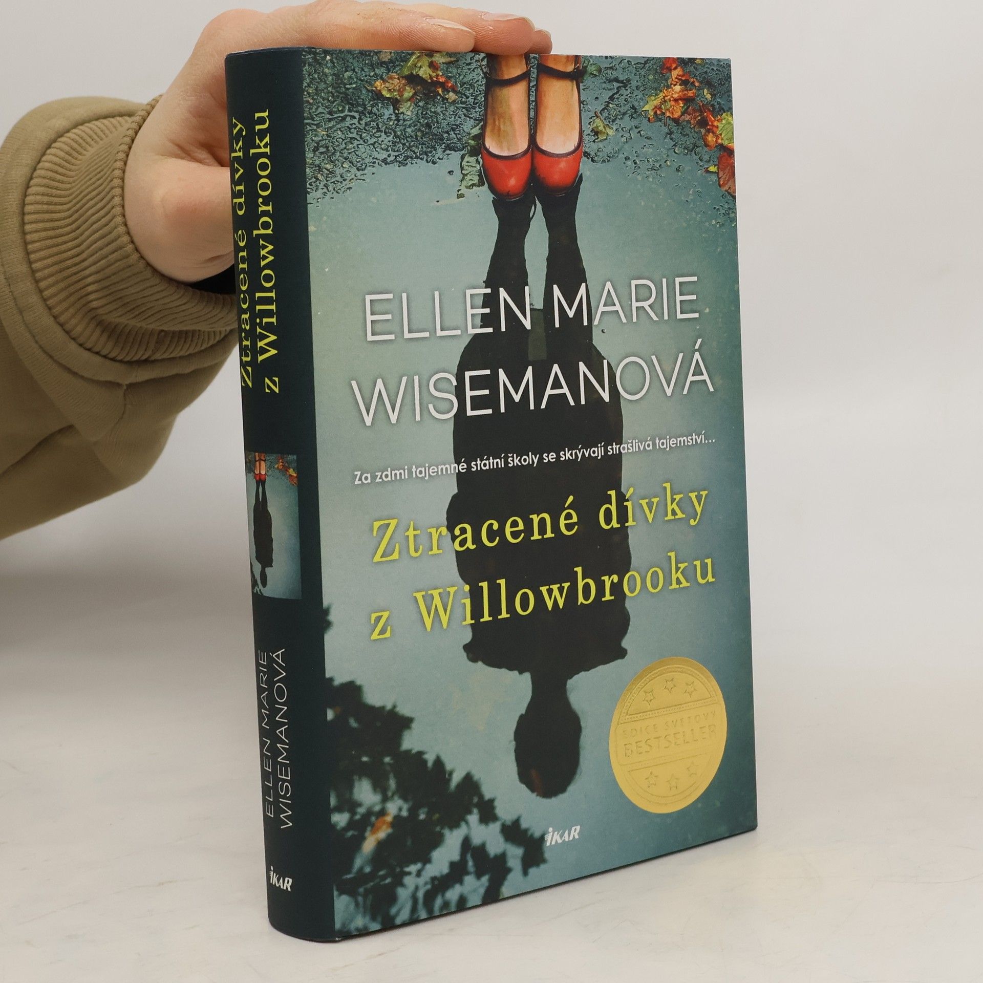 Ellen Marie Wiseman Ztracené dívky z Willowbrooku