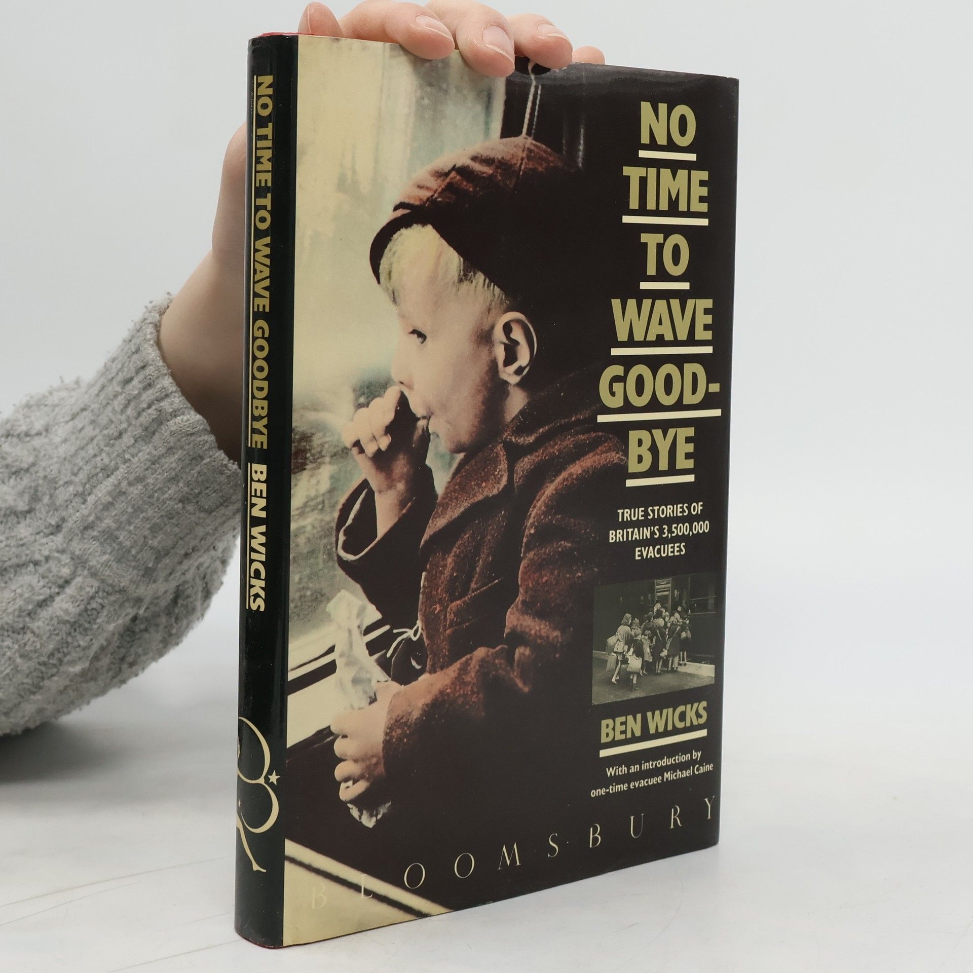Ben Wicks No Time to Wave Goodbye