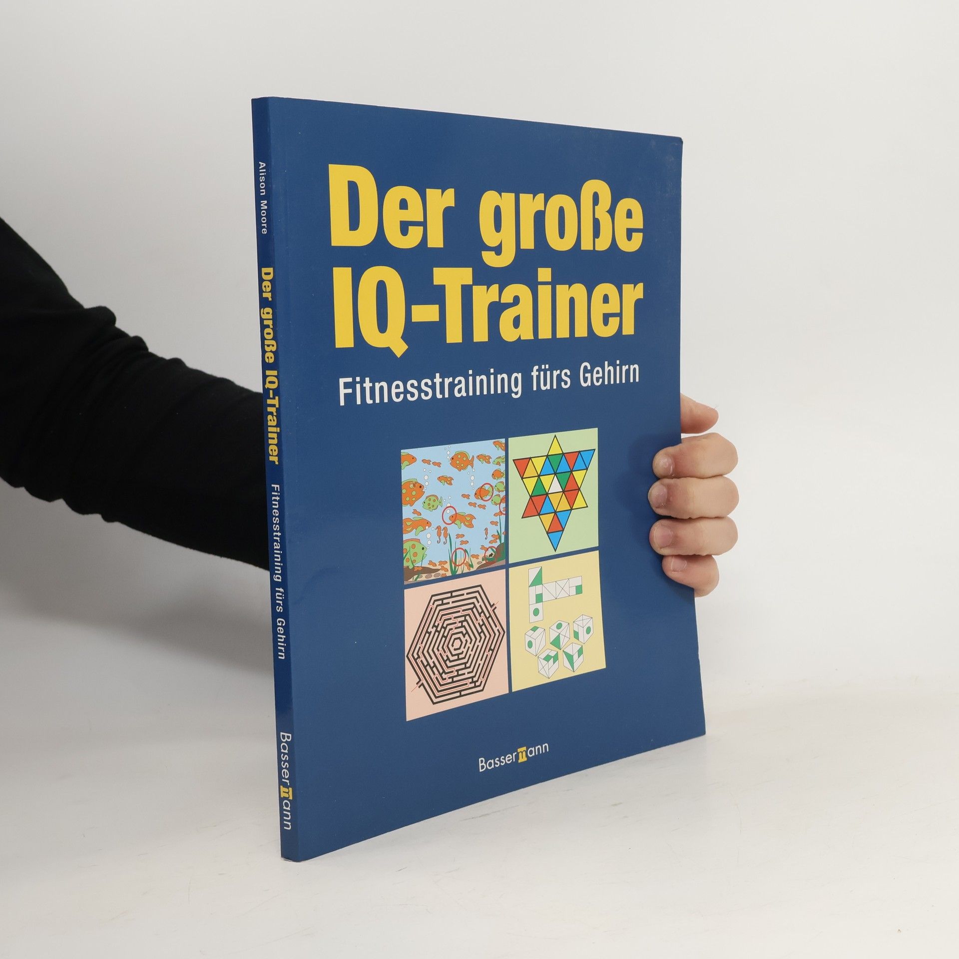 Autorenkollektiv Der große IQ-Trainer