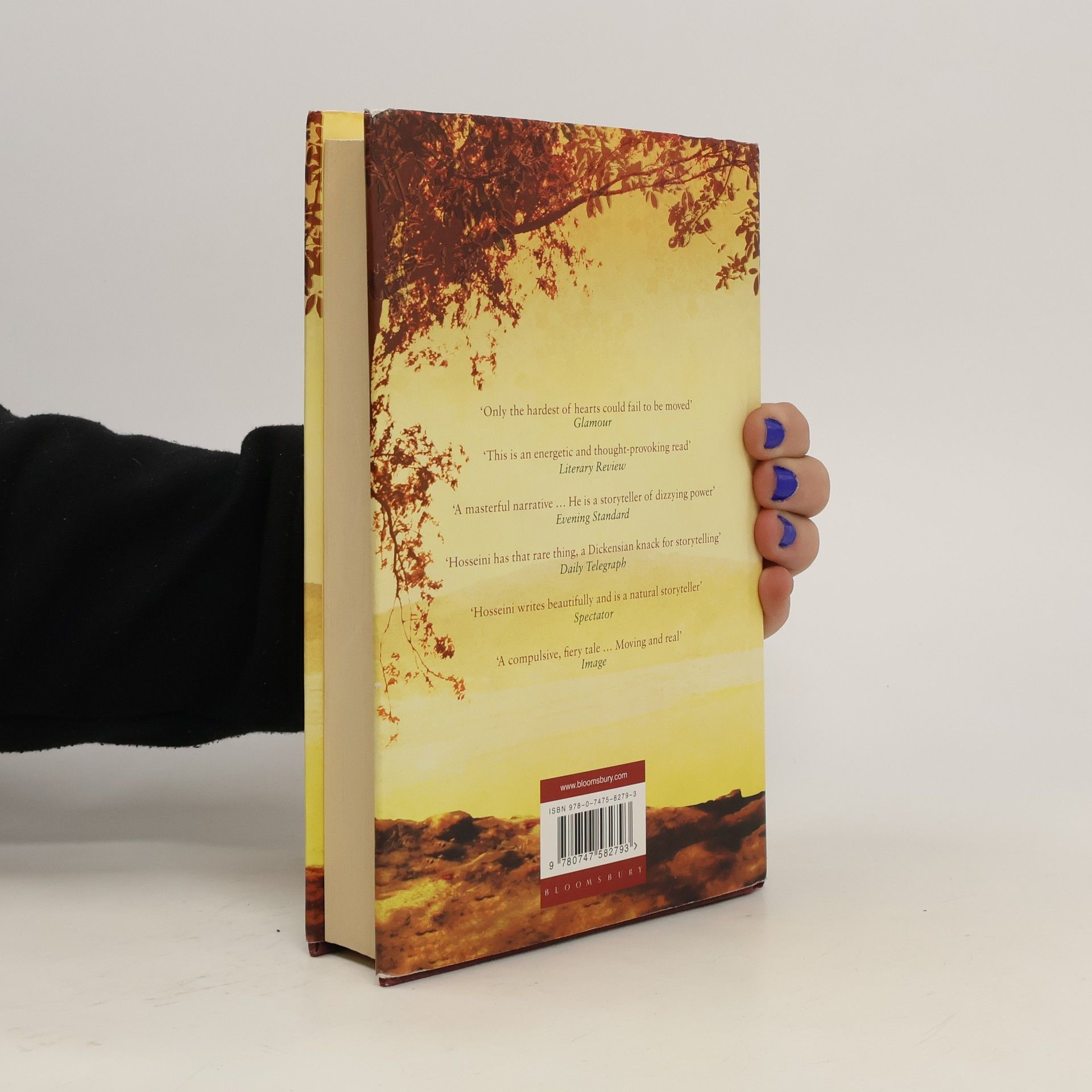 Khaled Hosseini A Thousand Splendid Suns