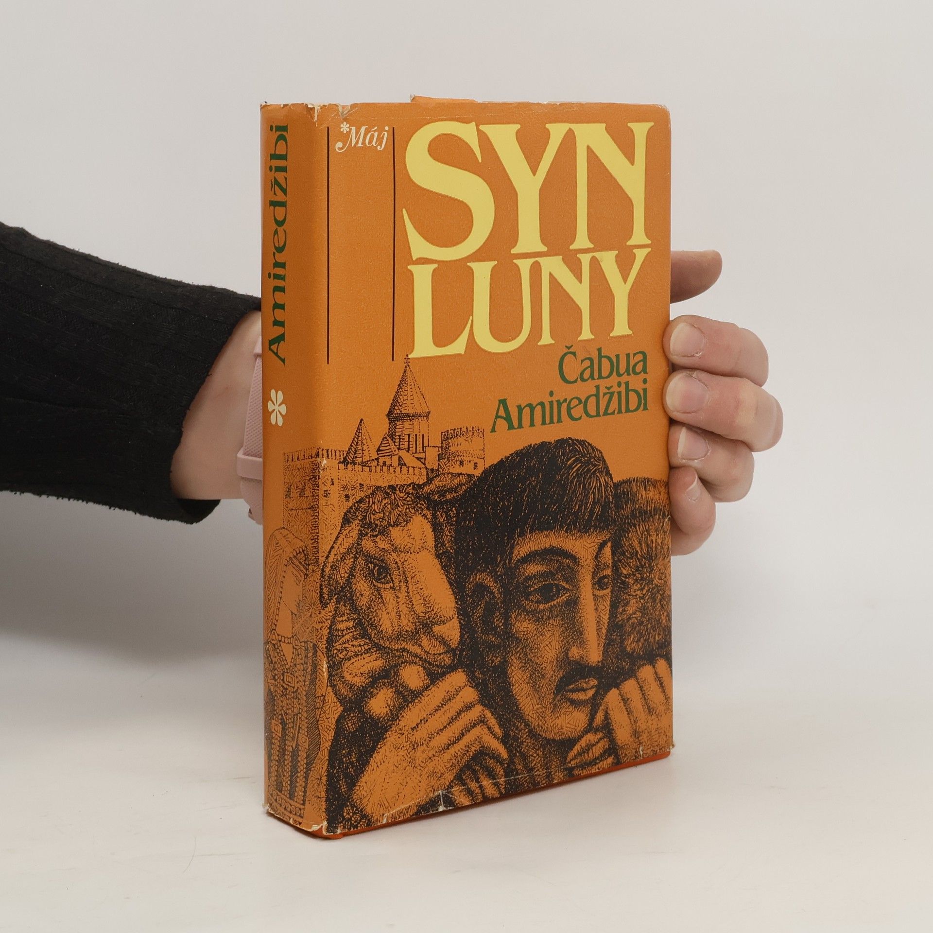 Čabua Amireǧibi Syn Luny