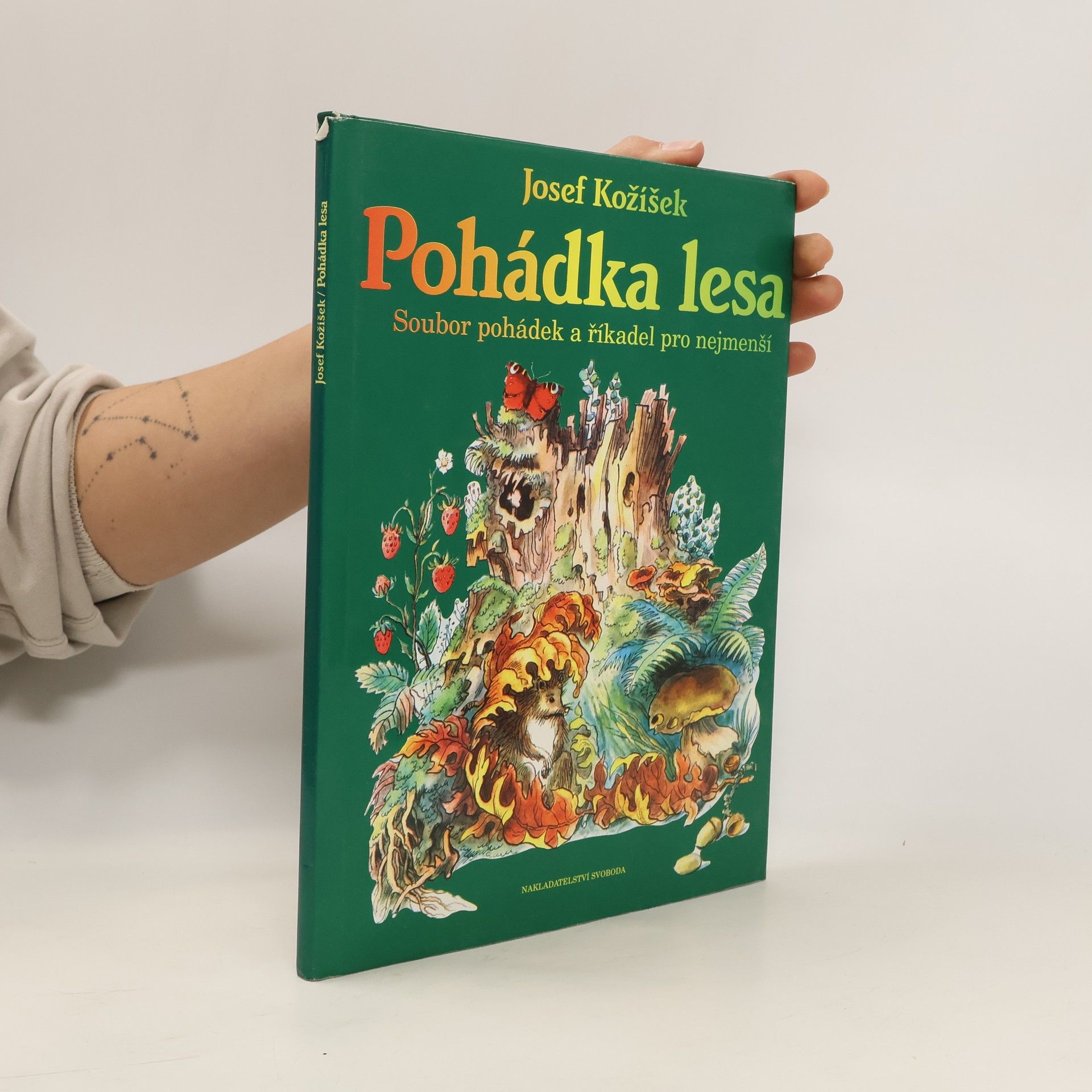 Josef Kožíšek Pohádka lesa