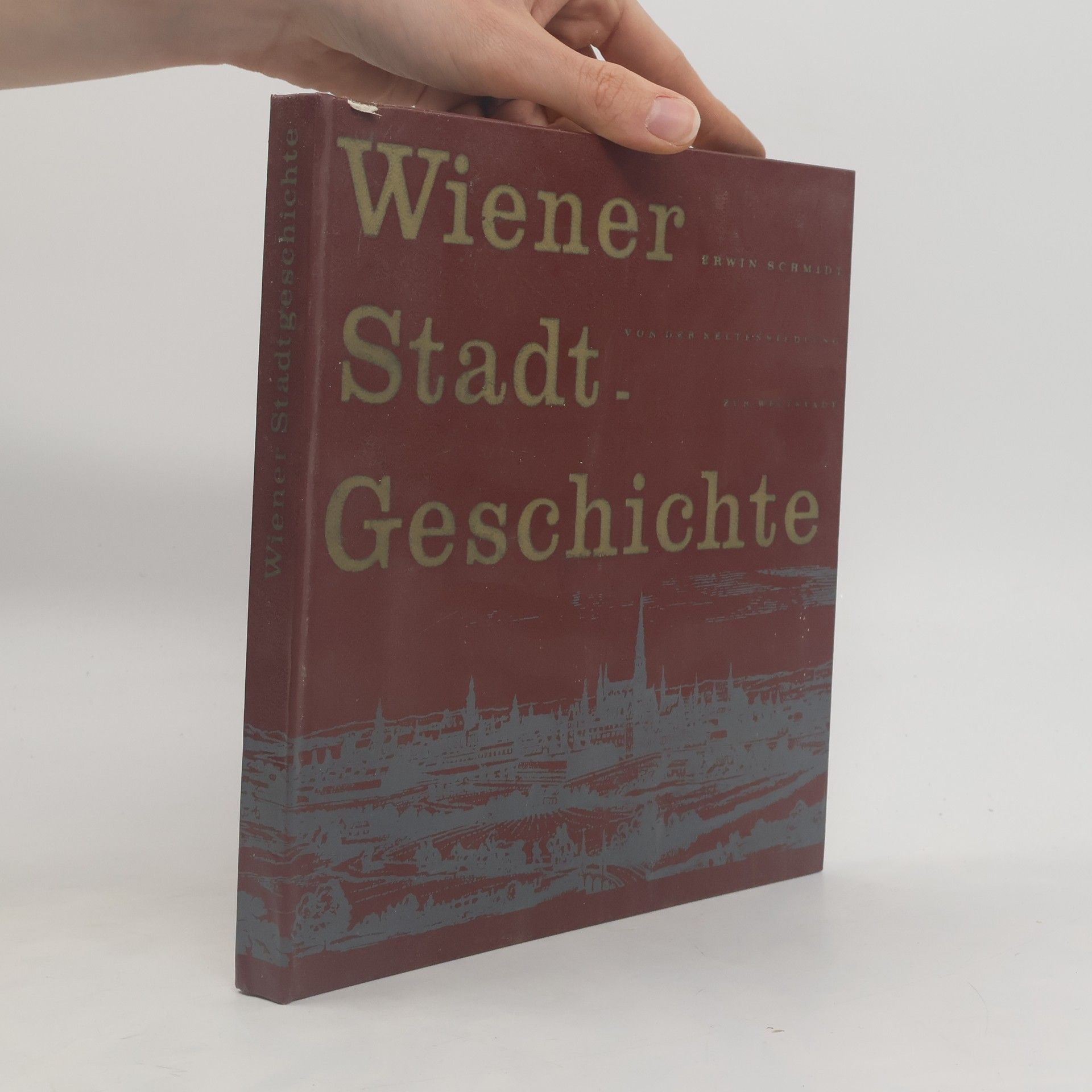 Erwin Schmidt Wiener Stadt Geschichte