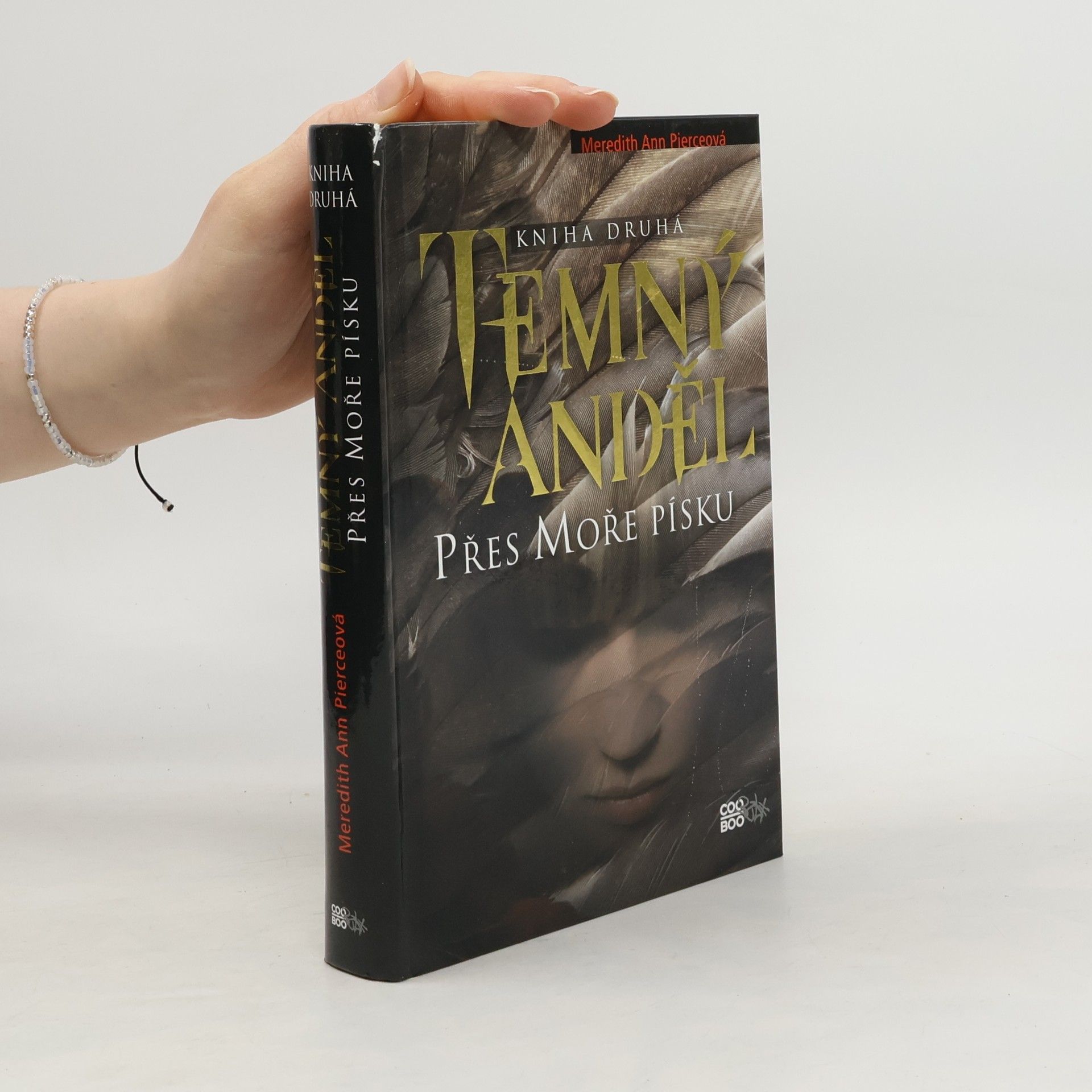 Temný anděl. Přes moře písku