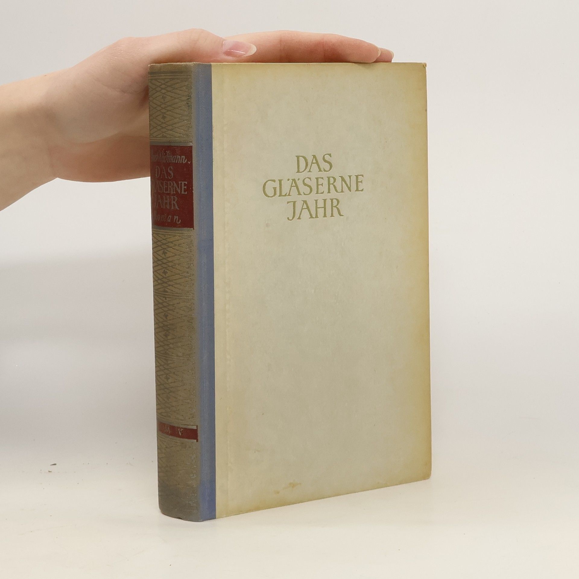 Ines Widmann Das gläserne Jahr