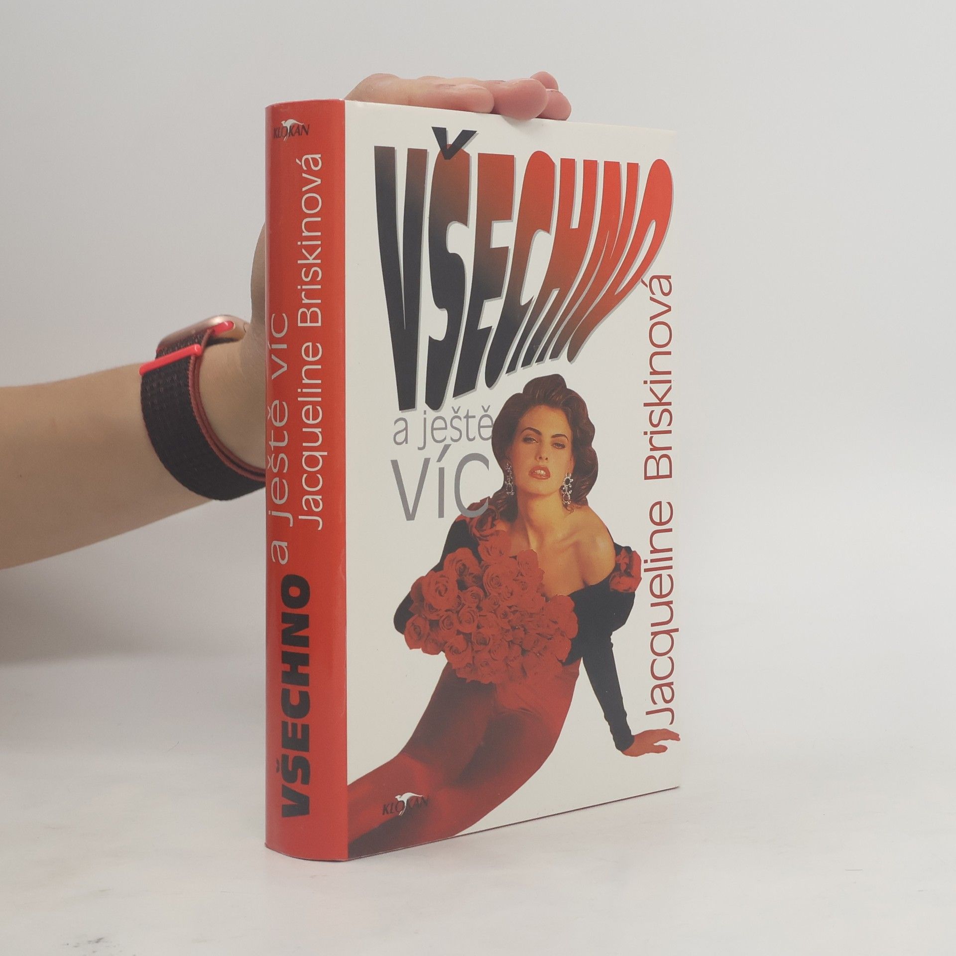 Jacqueline Briskin Všechno a ještě víc