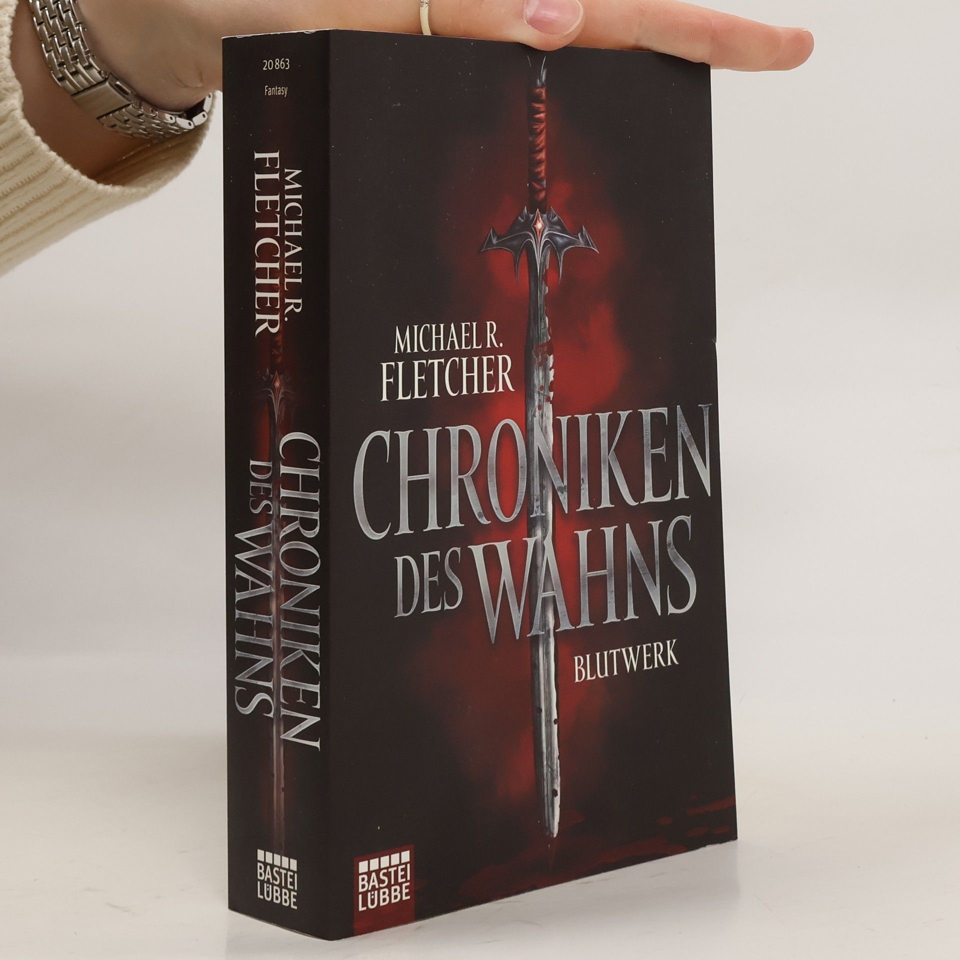 Michael R. Fletcher Chroniken des Wahns - Blutwerk