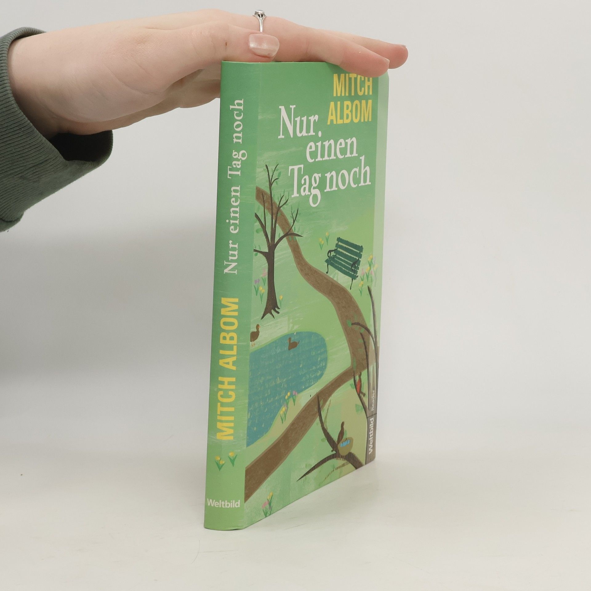 Mitch Albom Nur einen Tag noch