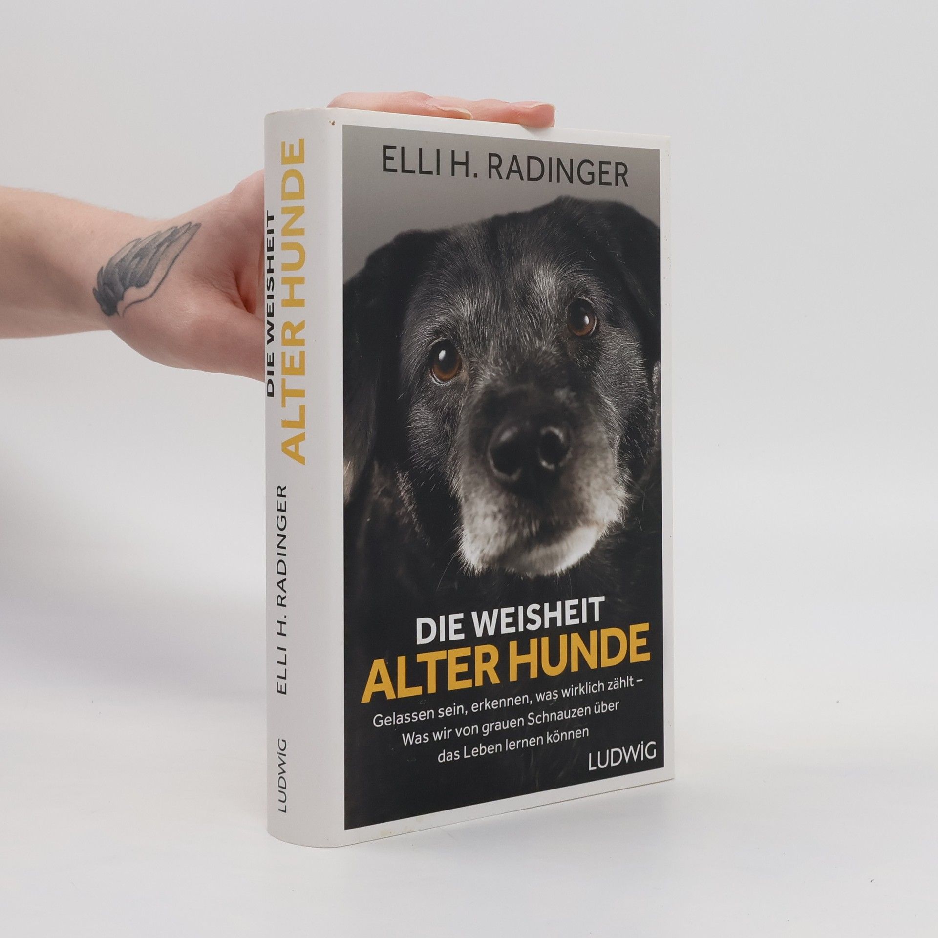 Elli H. Radinger Die Weisheit alter Hunde