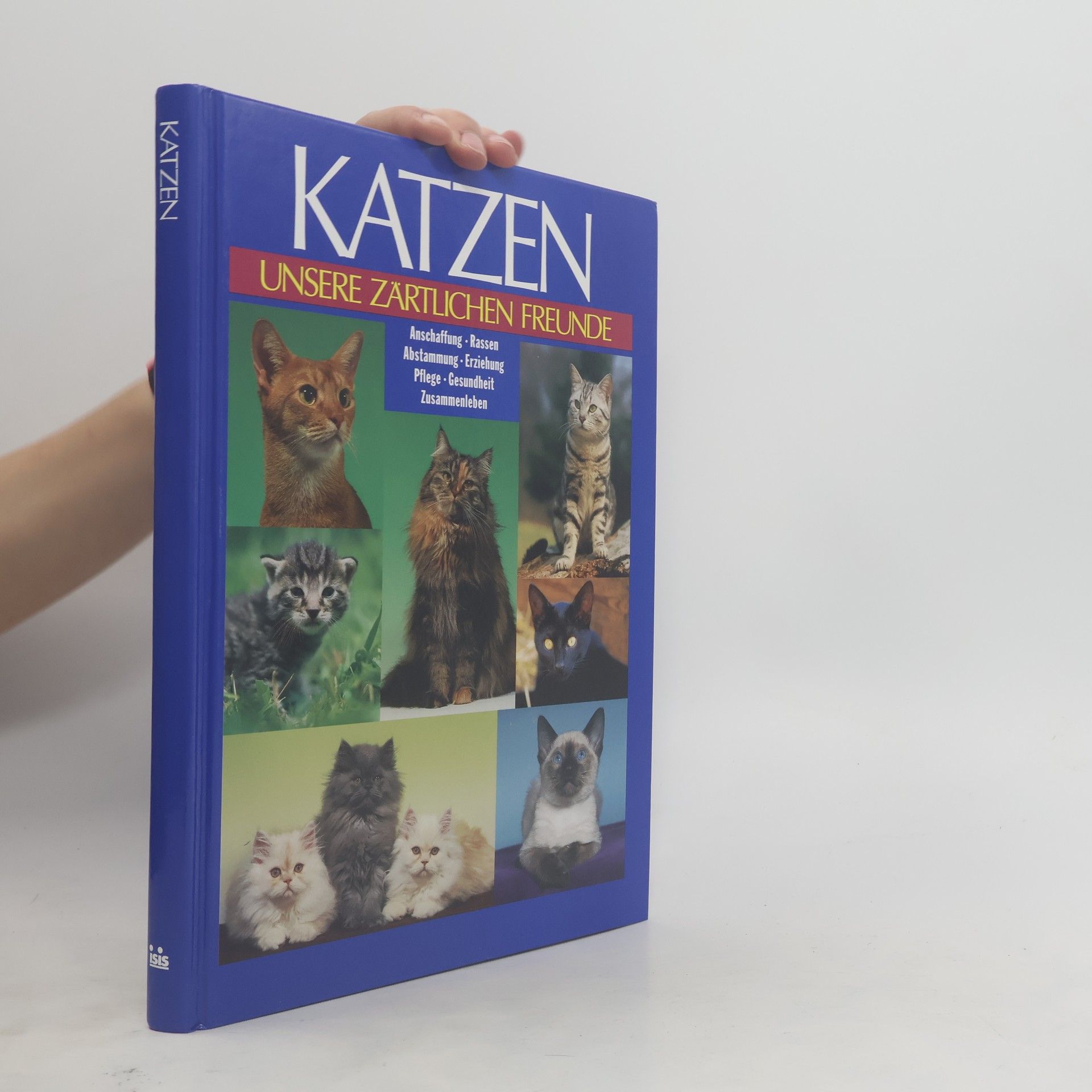 Antje Breuer Katzen. Unsere zärtlichen Freunde