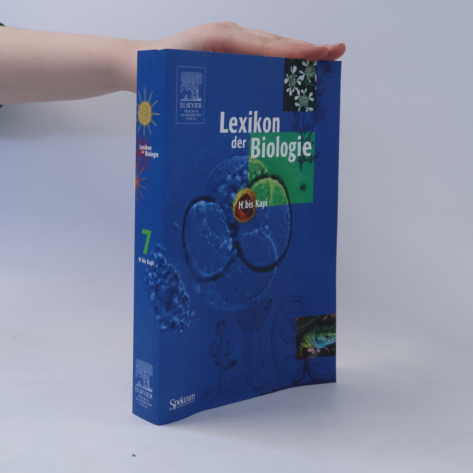 Autorenkollektiv Lexikon der Biologie 7