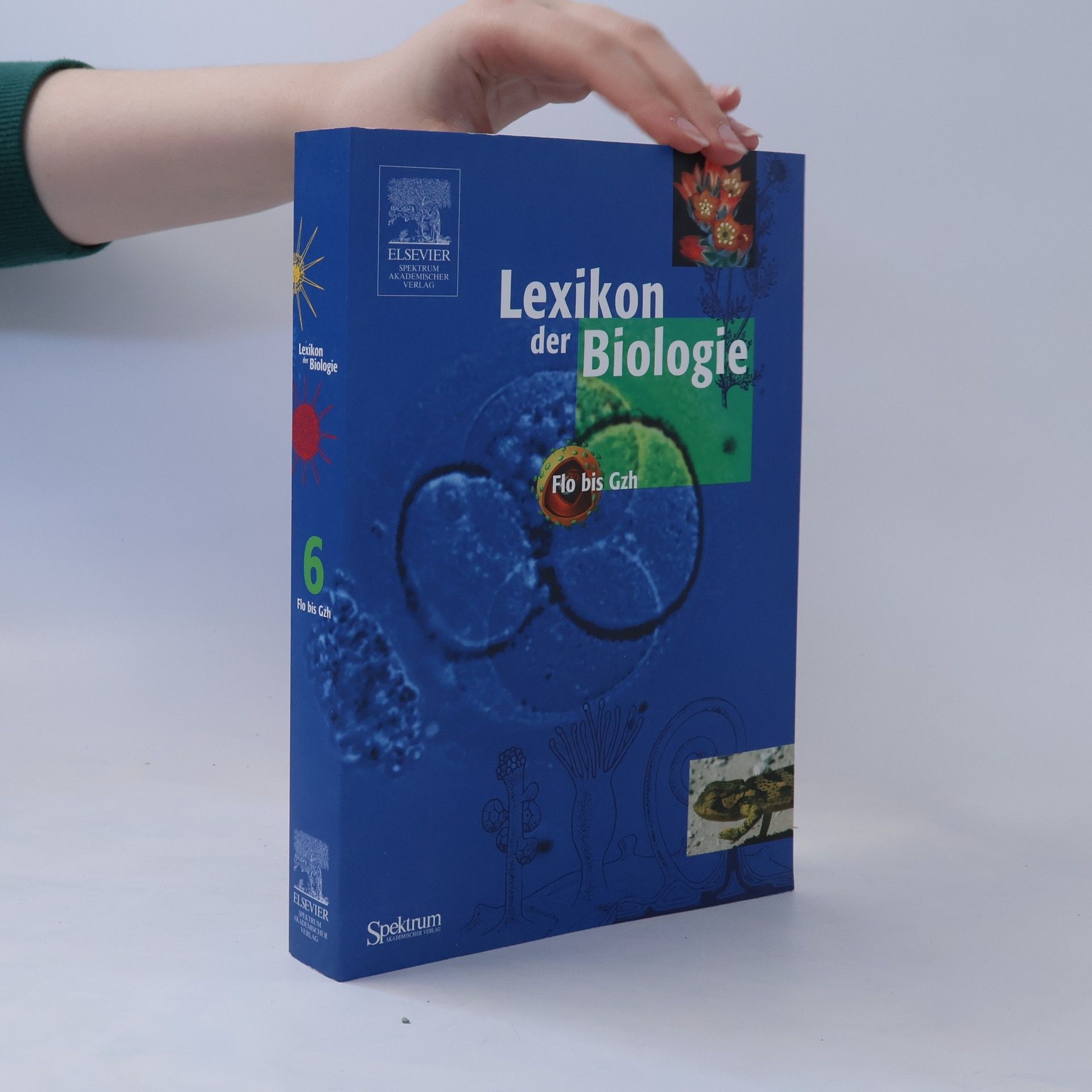 Collectif d'auteurs Lexikon der Biologie 6