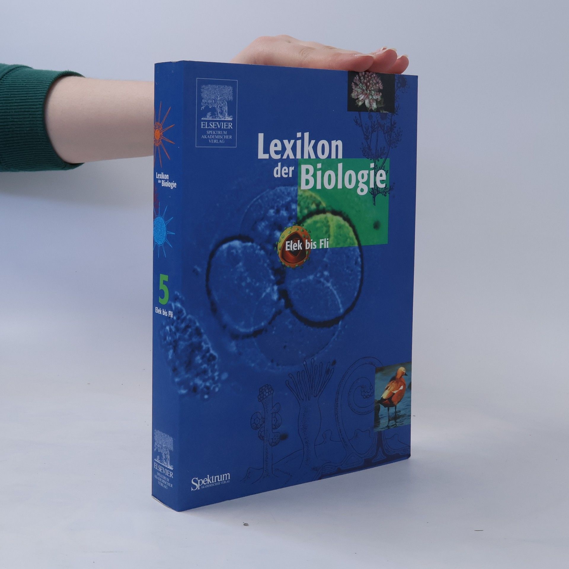 Collectif d'auteurs Lexikon der Biologie 5