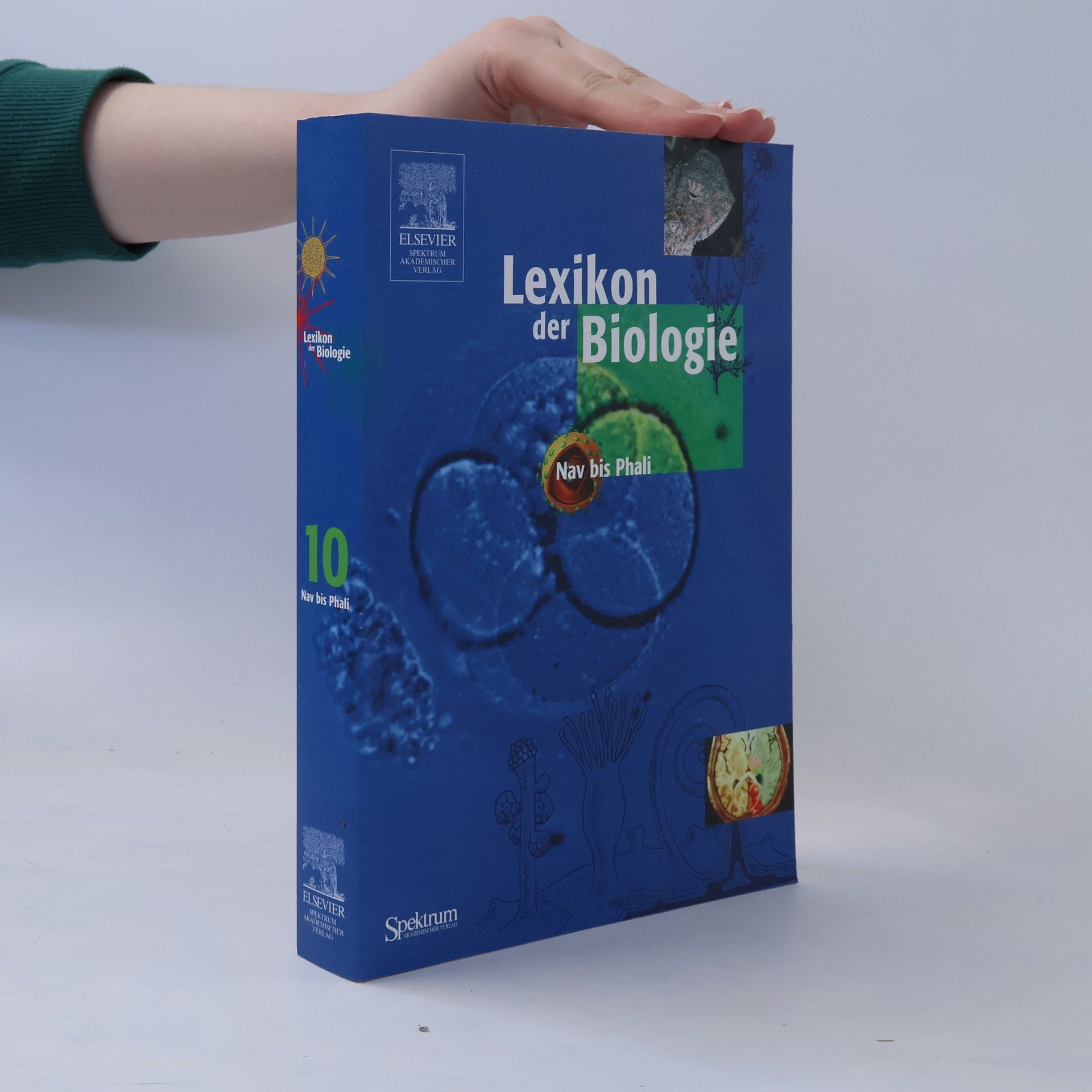Collectif d'auteurs Lexikon der Biologie 10