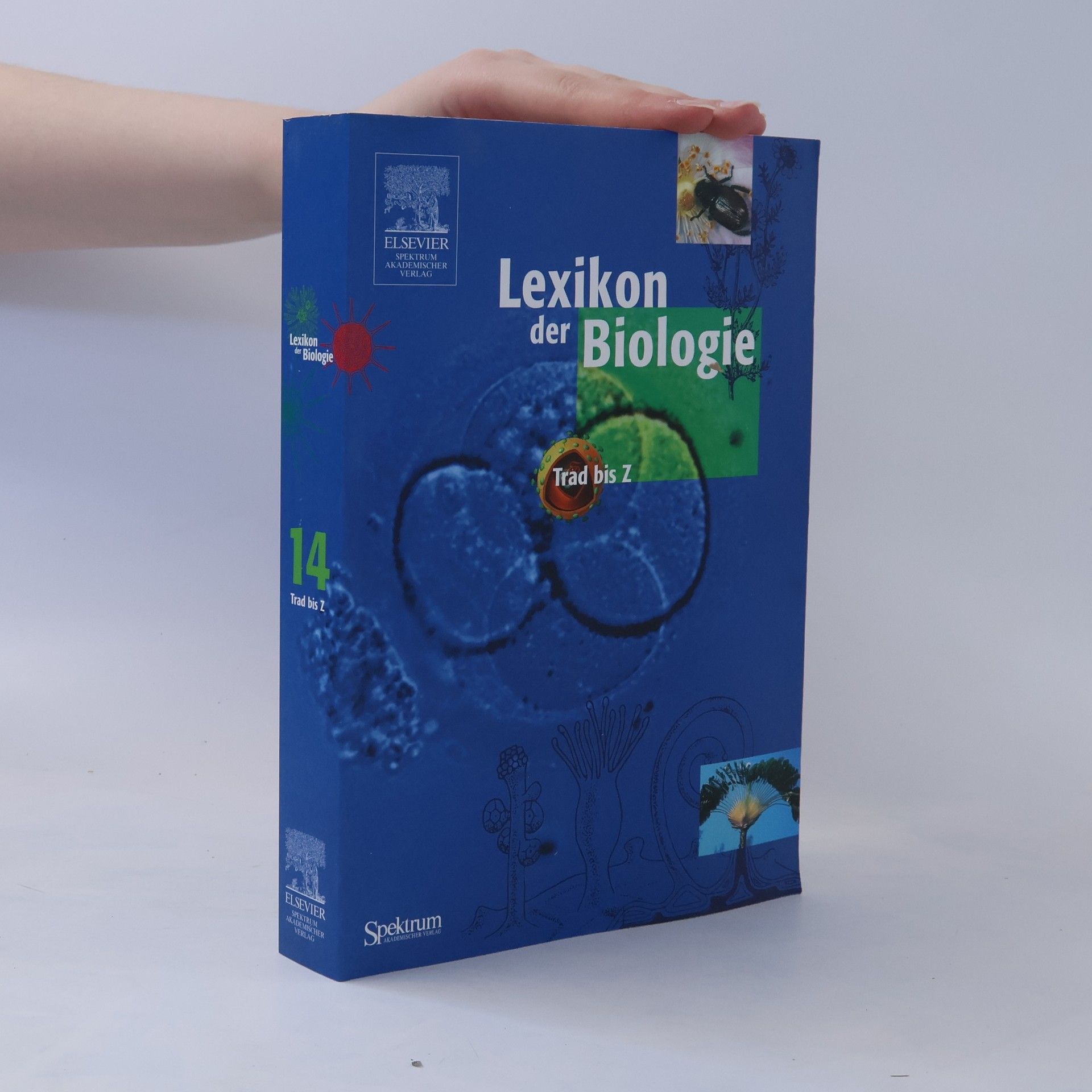 Collectif d'auteurs Lexikon der Biologie 14