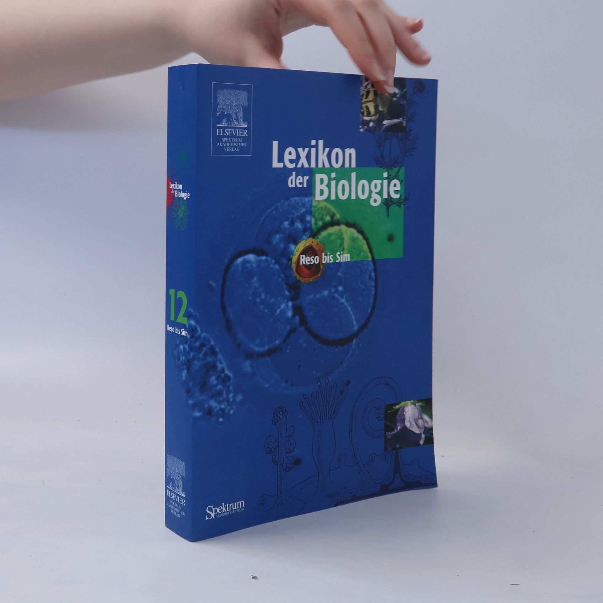 Autorenkollektiv Lexikon der Biologie 12