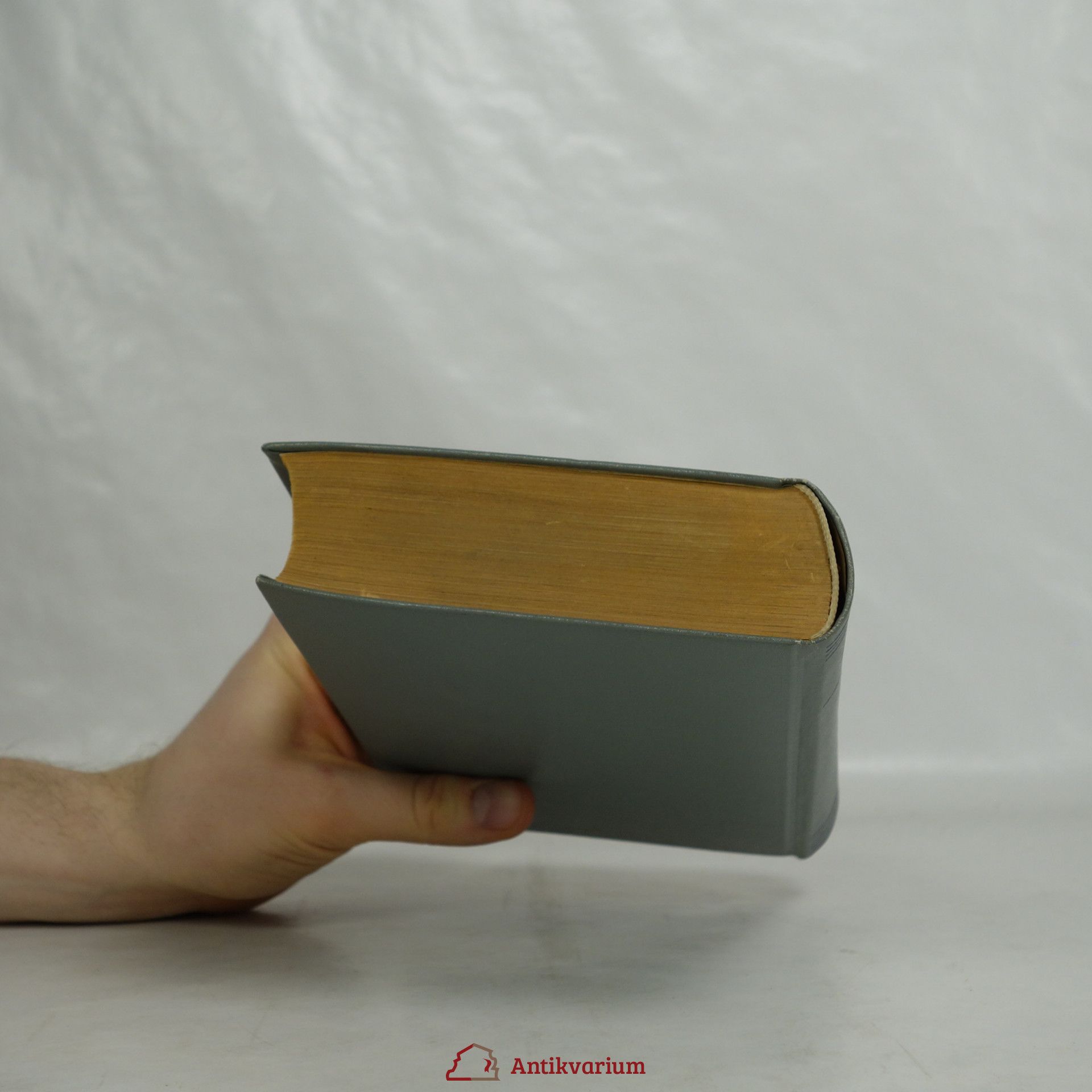 Autores varios Schlag nach Natur