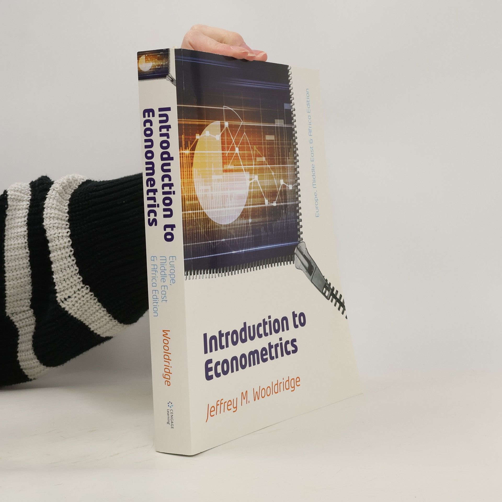 Jeffrey Wooldridge Introductory Econometrics