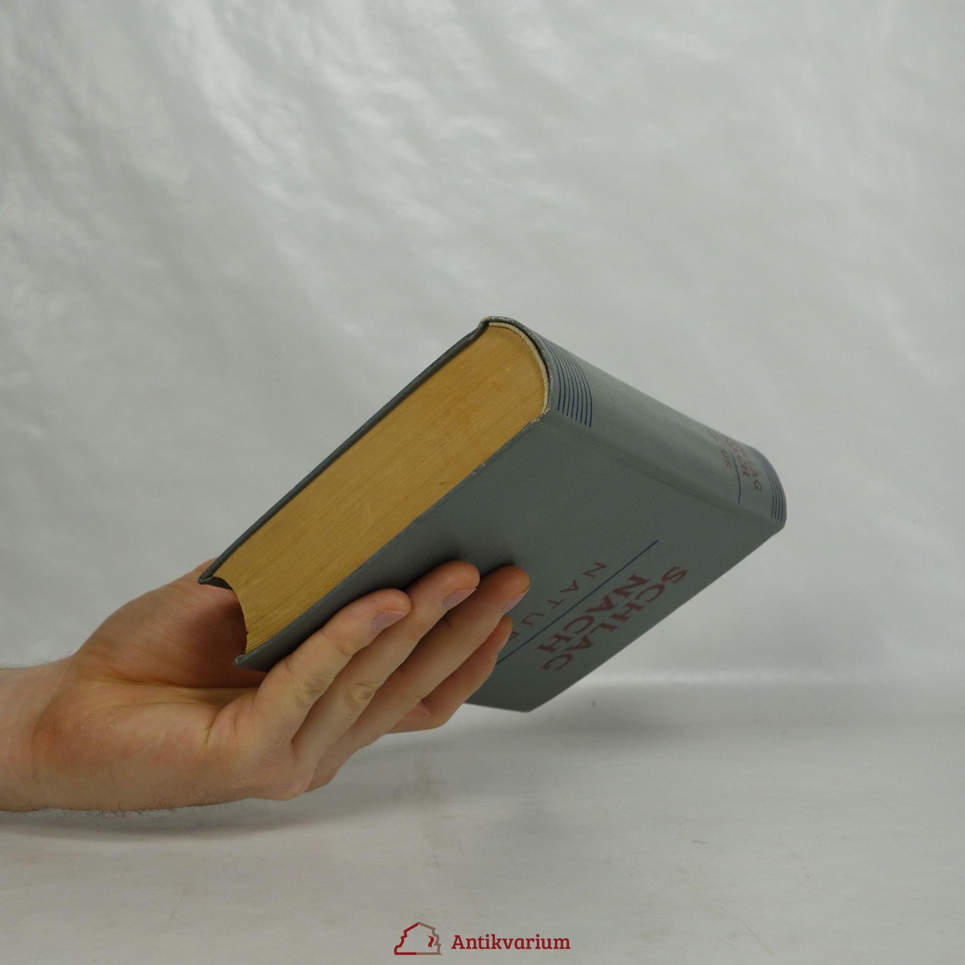 Autores varios Schlag nach Natur