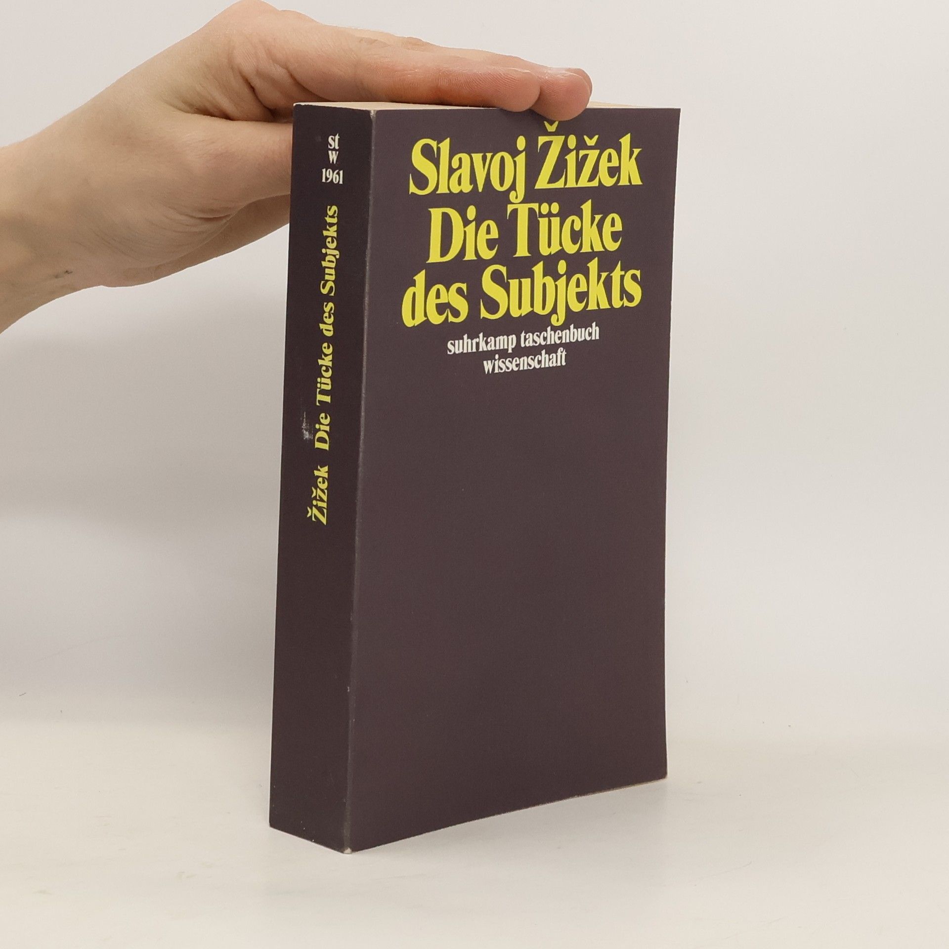 Slavoj Žižek Die Tücke des Subjekts