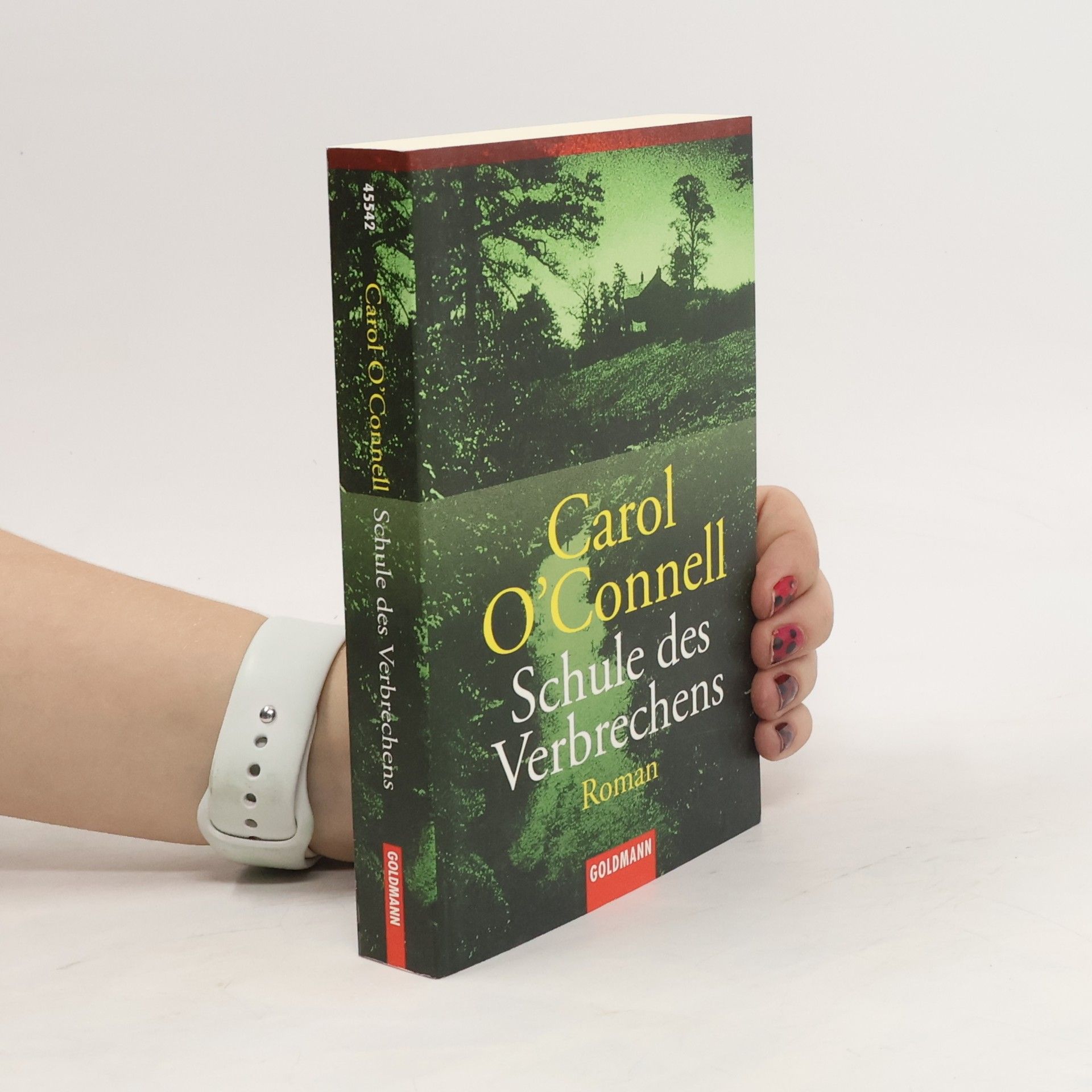 Carol O'Connell Schule des Verbrechens. Roman