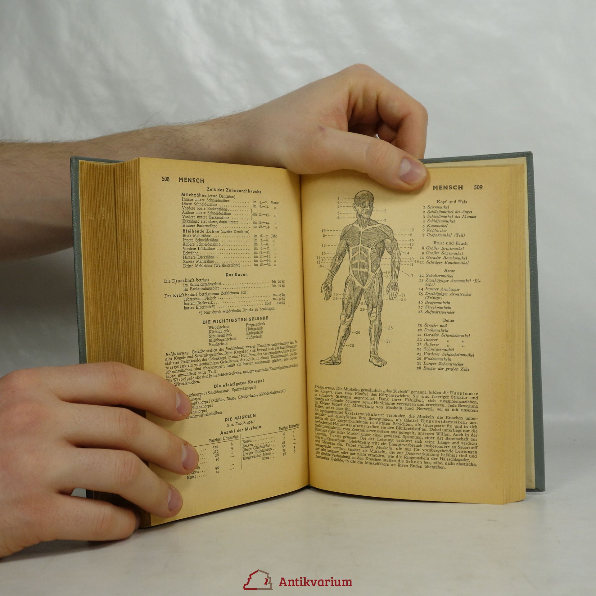 Autores varios Schlag nach Natur