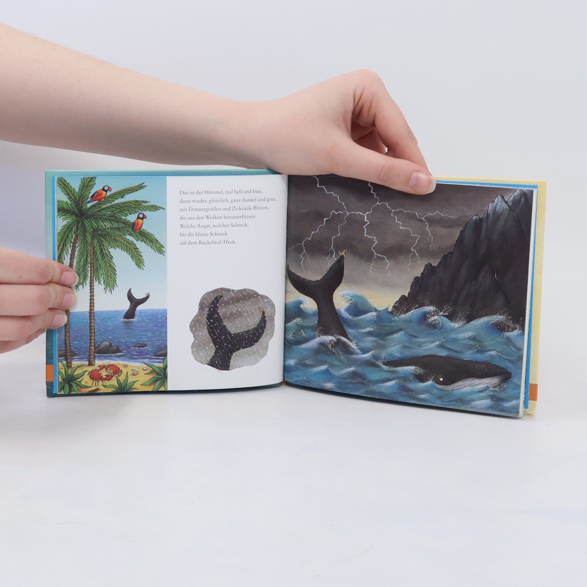 Axel Scheffler Die Schnecke und der Buckelwal