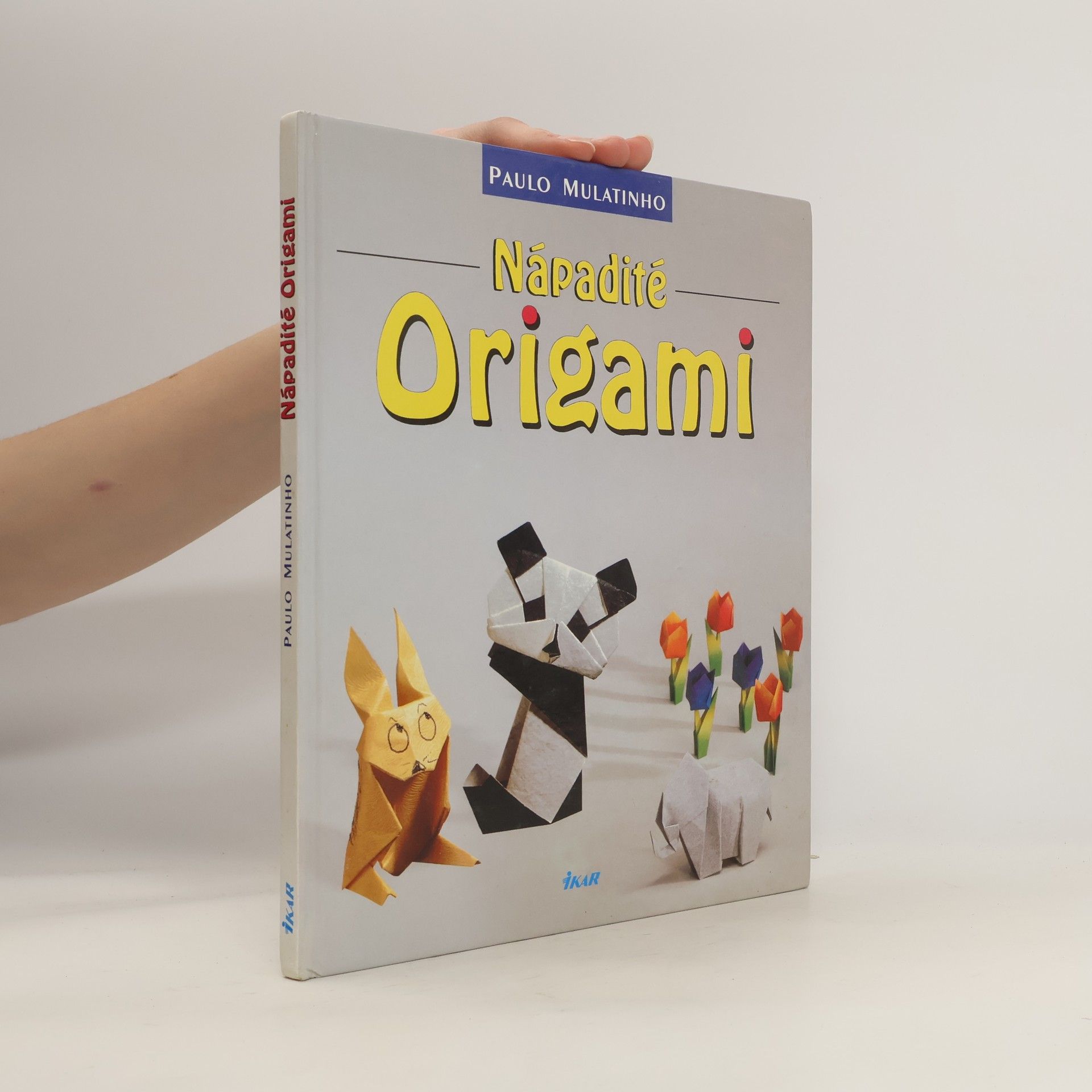 Paulo Mulatinho Nápadité origami