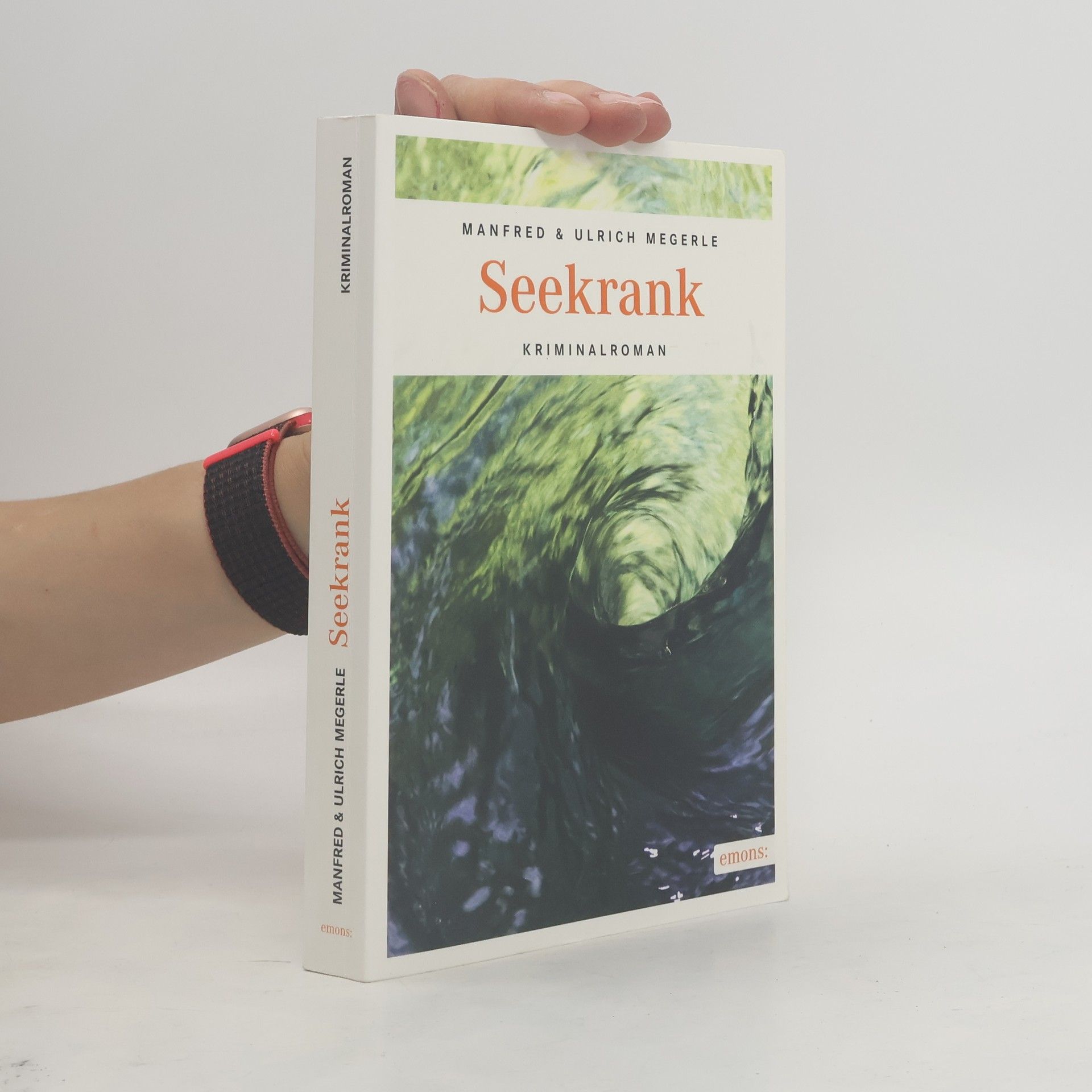 Ulrich Megerle Seekrank