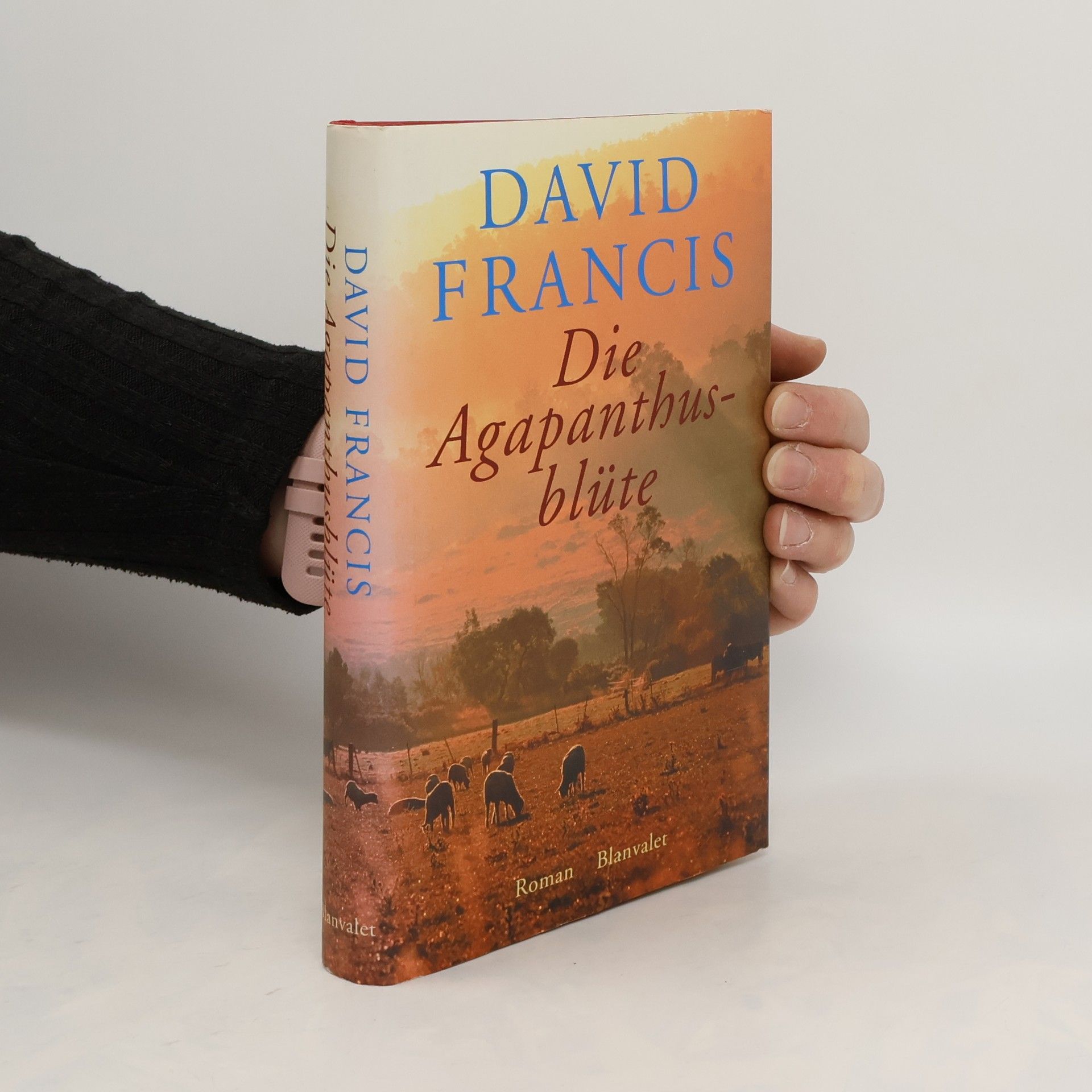 David Francis Die Agapanthusblüte