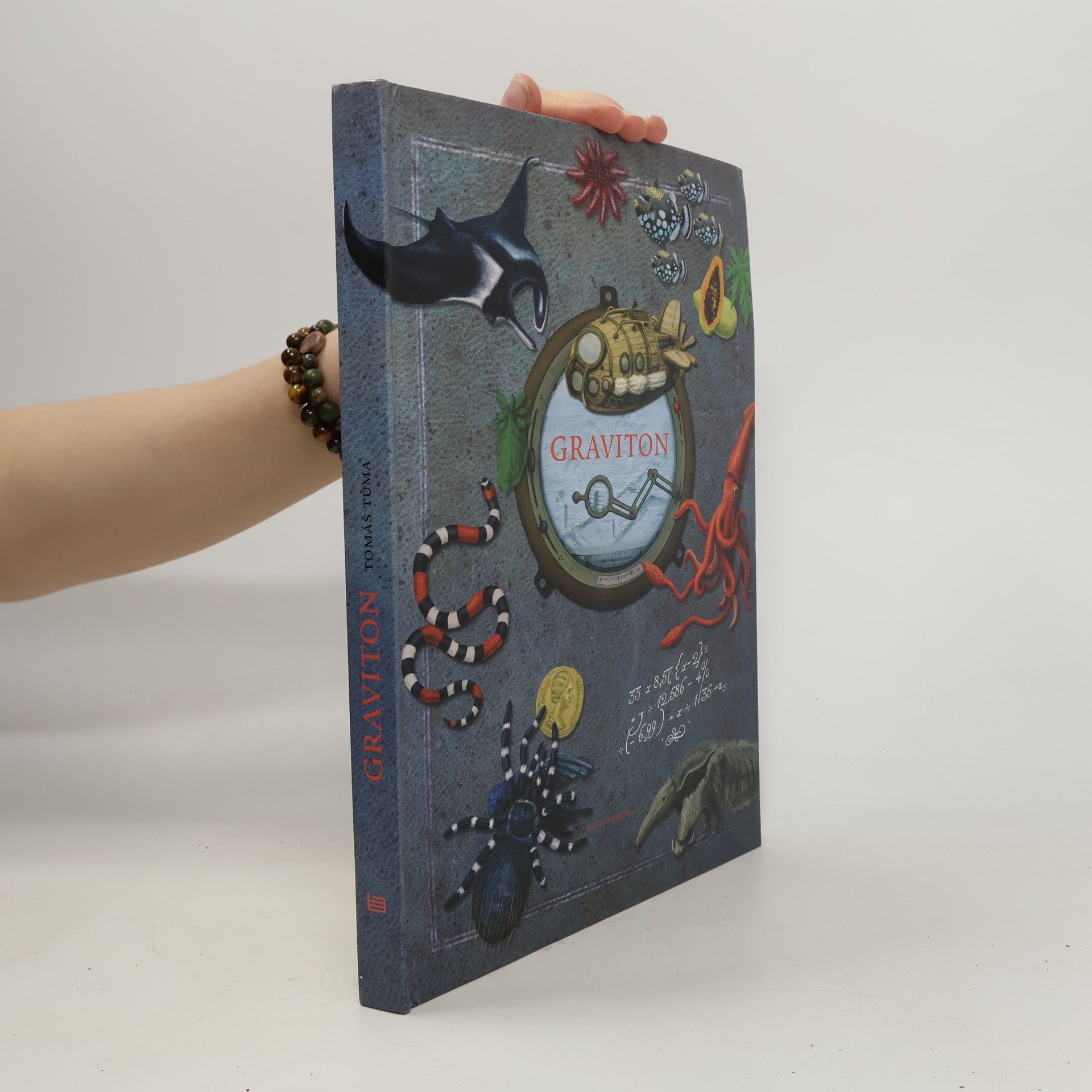 Graviton: Palubní deník z cesty kolem světa v létajícím stroji Alfonse Cailleteta