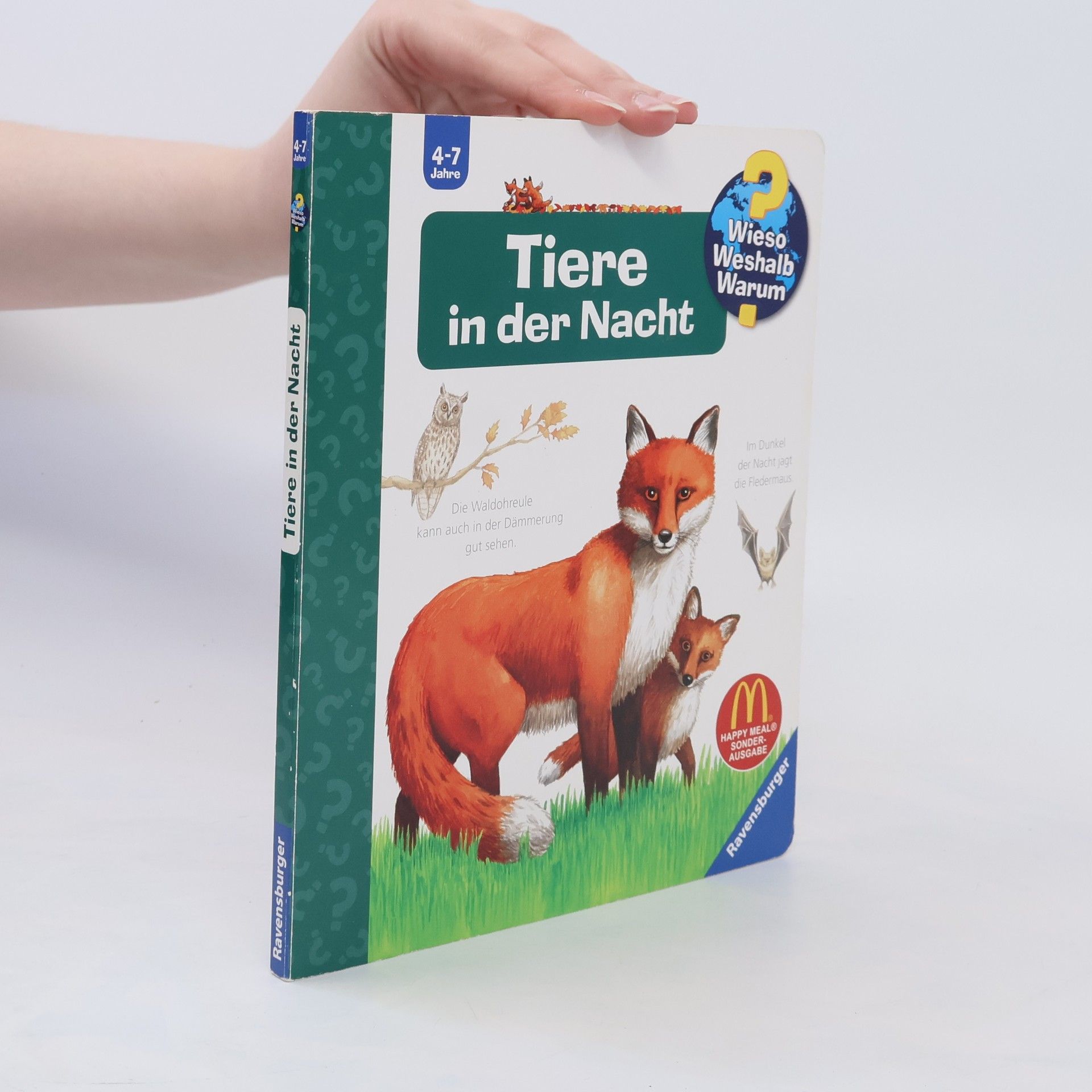 Anne Ebert Tiere in der Nacht