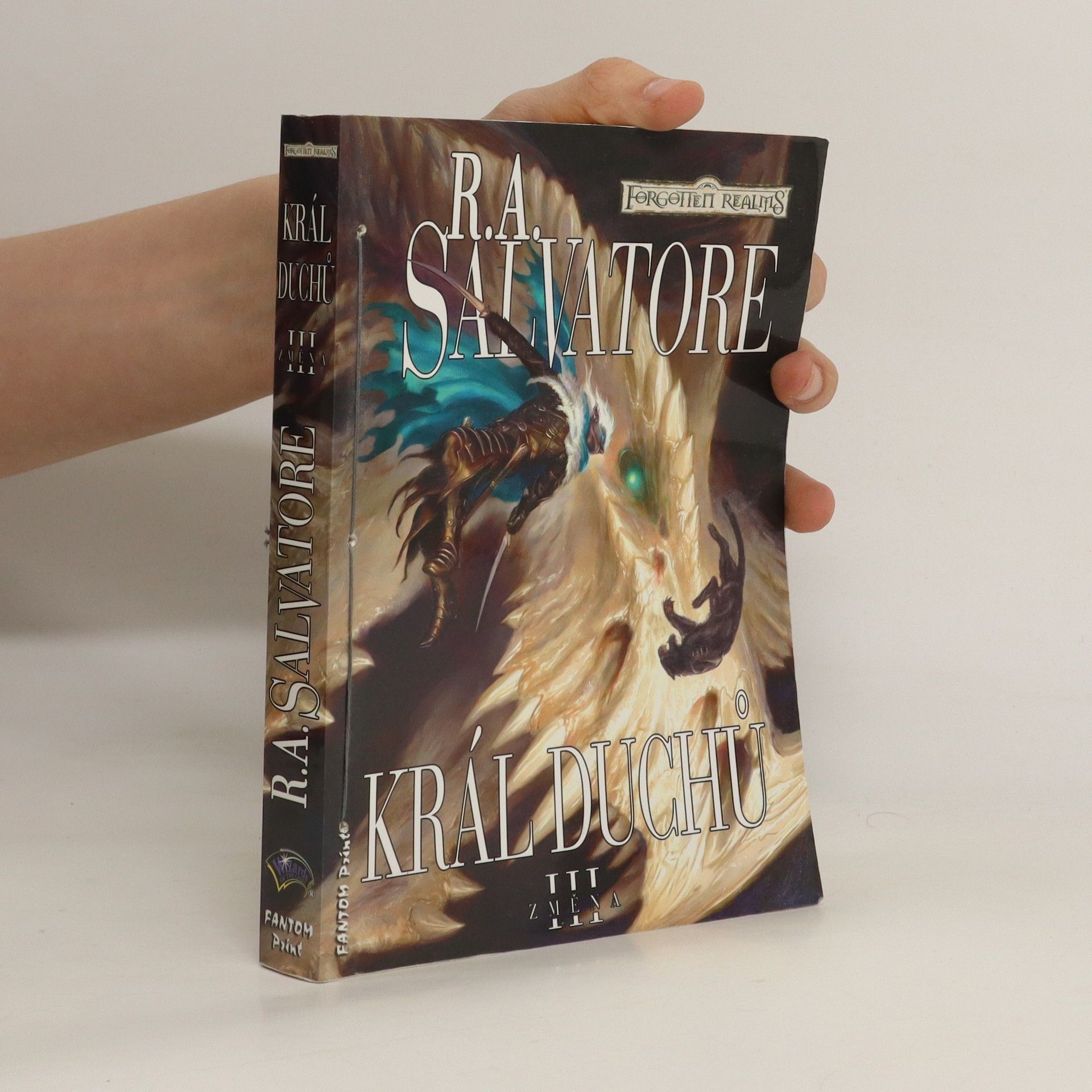 R. A. Salvatore Král duchů