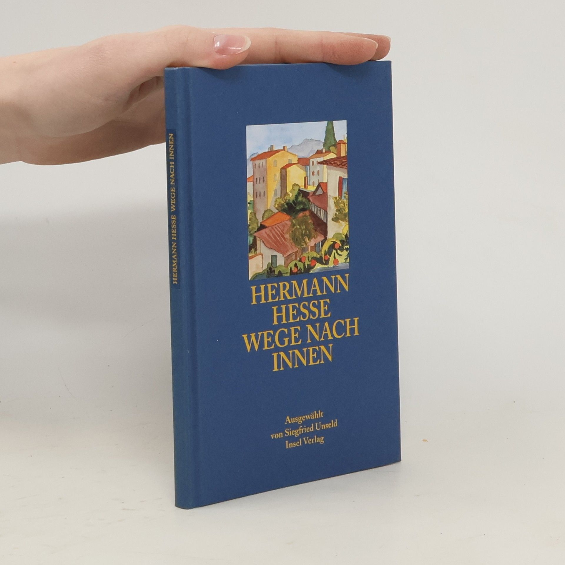 Hermann Hesse Wege nach innen