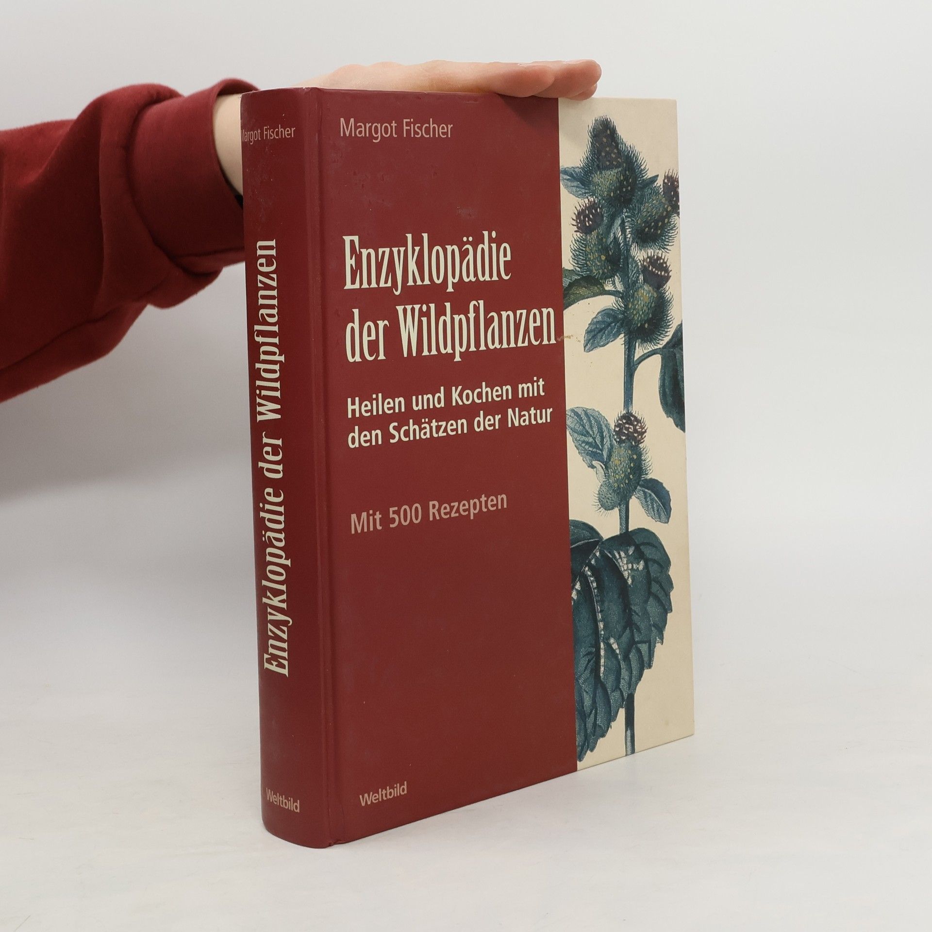 Margot Fischer Enzyklopädie der Wildpflanzen