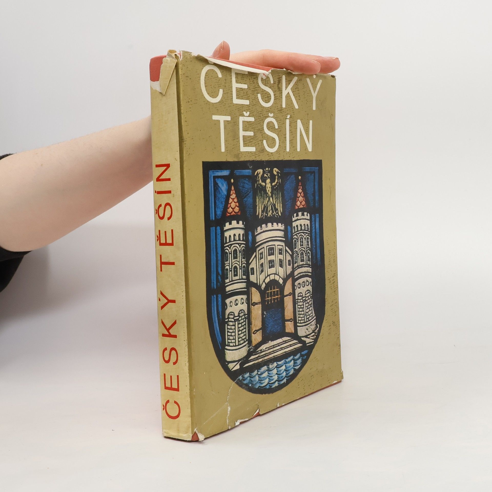 Collectif d'auteurs Český Těšín