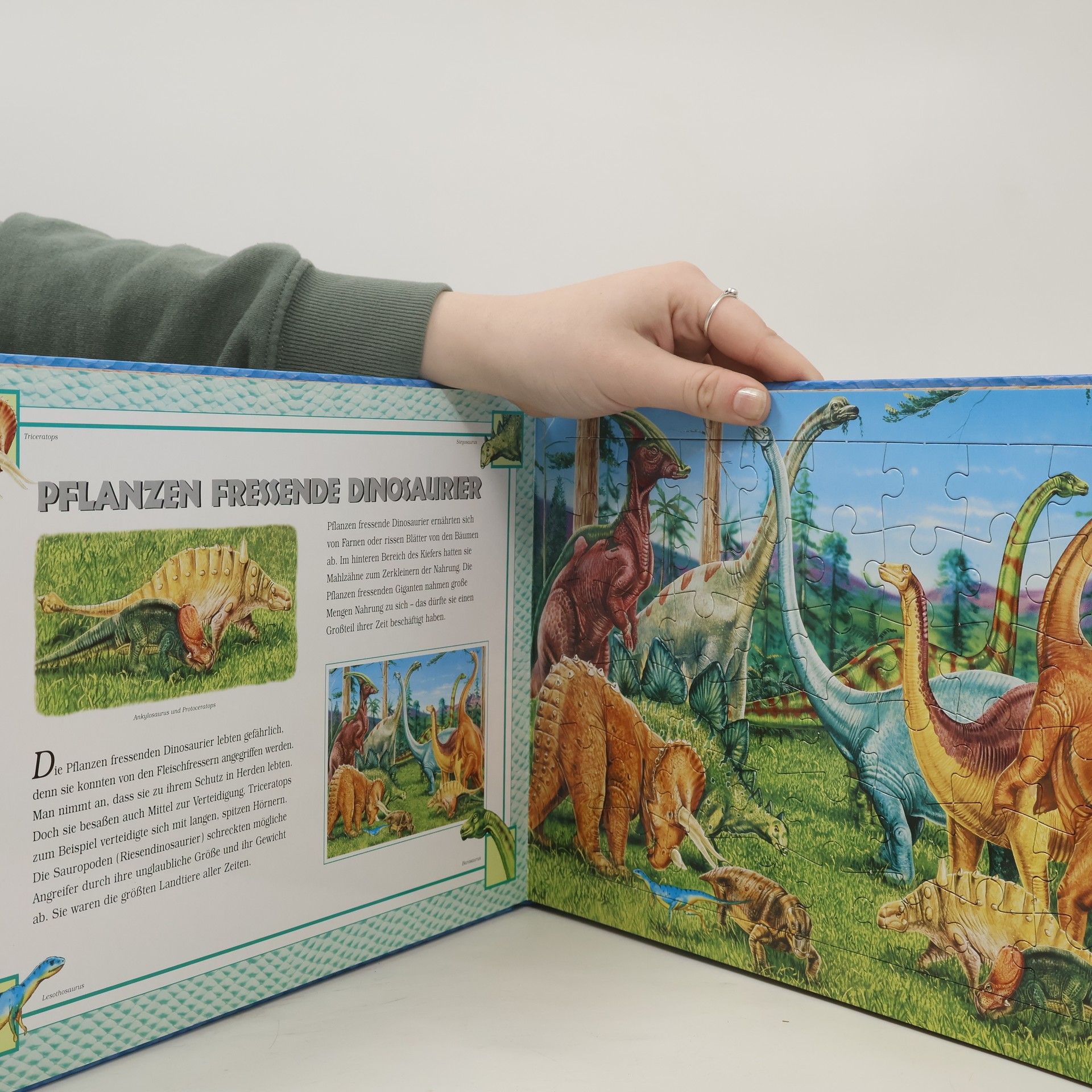 Autorenkollektiv Dinosaurier
