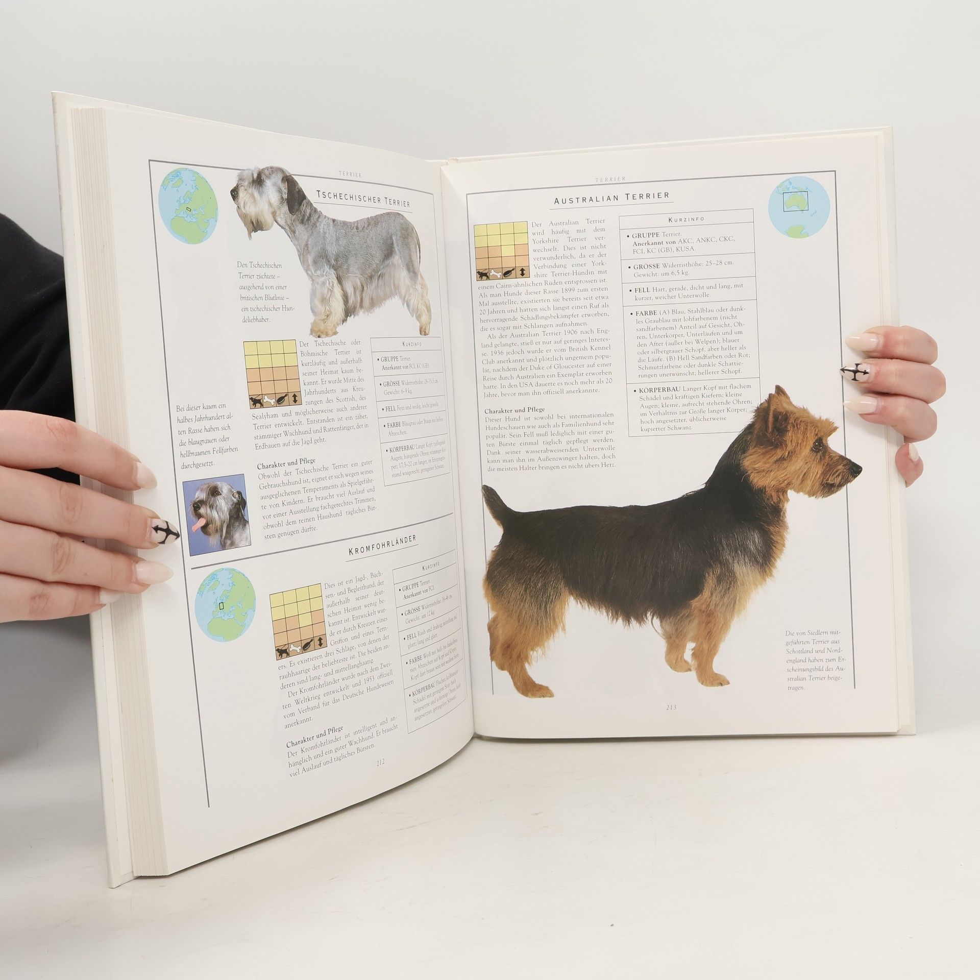 Joan Palmer Die farbige Enzyklopädie der Hunde